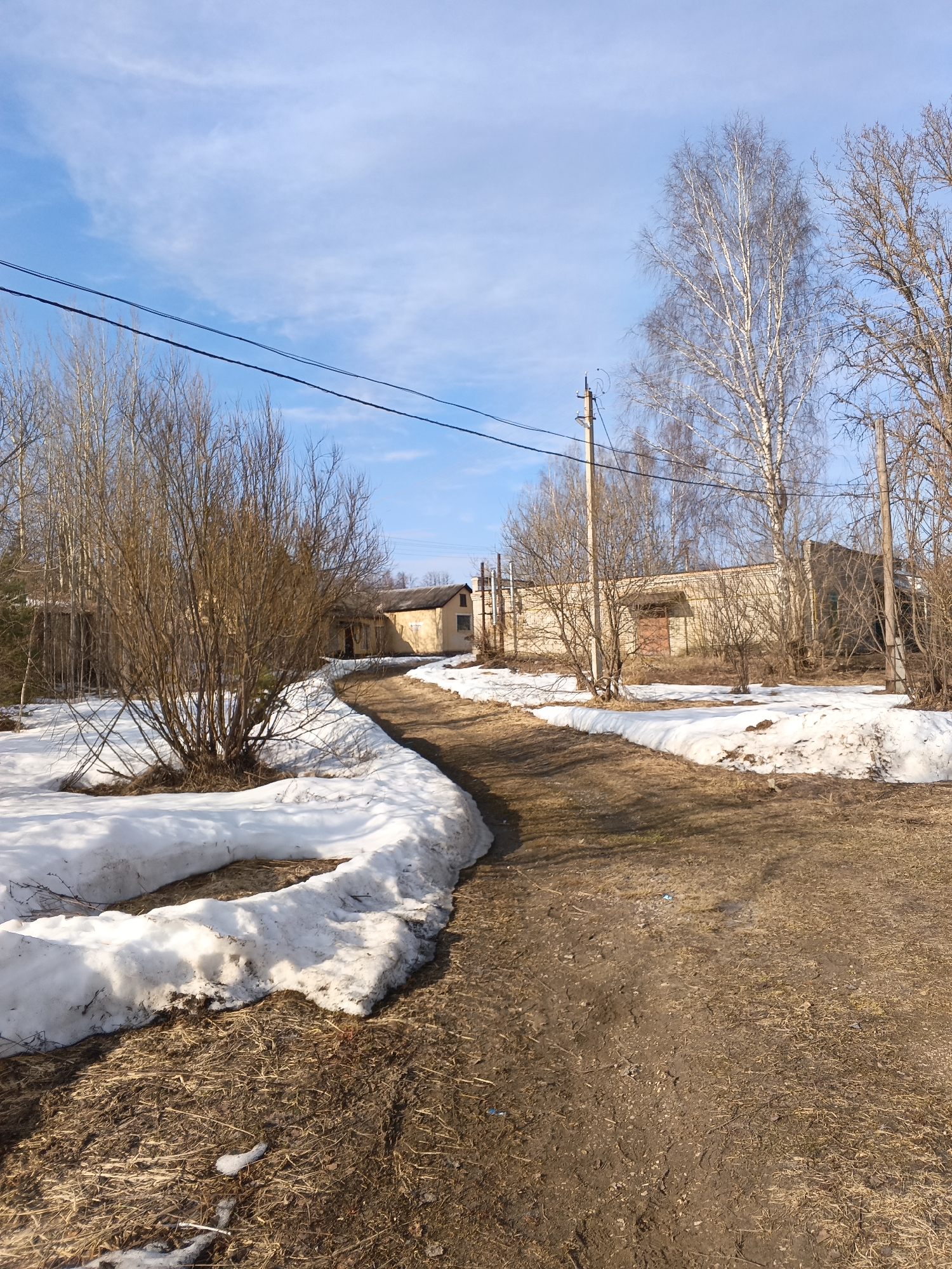 The image depicts an outdoor scene in Красный Маяк, Russia, characterized by early spring conditions with melting snow. A winding, unpaved dirt path occupies the lower right and central foreground, curving left into the mid-distance. Along the left edge of the path, irregular banks of dirty, melting snow are visible, bordered by patches of dry, brown grass and exposed soil. A dense cluster of bare deciduous bushes is situated to the left of the path, partially obscuring the background. In the mid-ground and background, numerous bare deciduous trees, including several tall birches with white bark, are scattered across the landscape. Two utility poles with multiple black power lines stretch horizontally across the upper mid-ground. Several low-rise, utilitarian buildings with light beige or cream-colored walls and dark roofs are visible in the background, appearing industrial or agricultural in nature. One building on the far left has visible rooftop vents. The sky above is a clear, light blue with sparse, wispy white clouds. No people or animals are present.