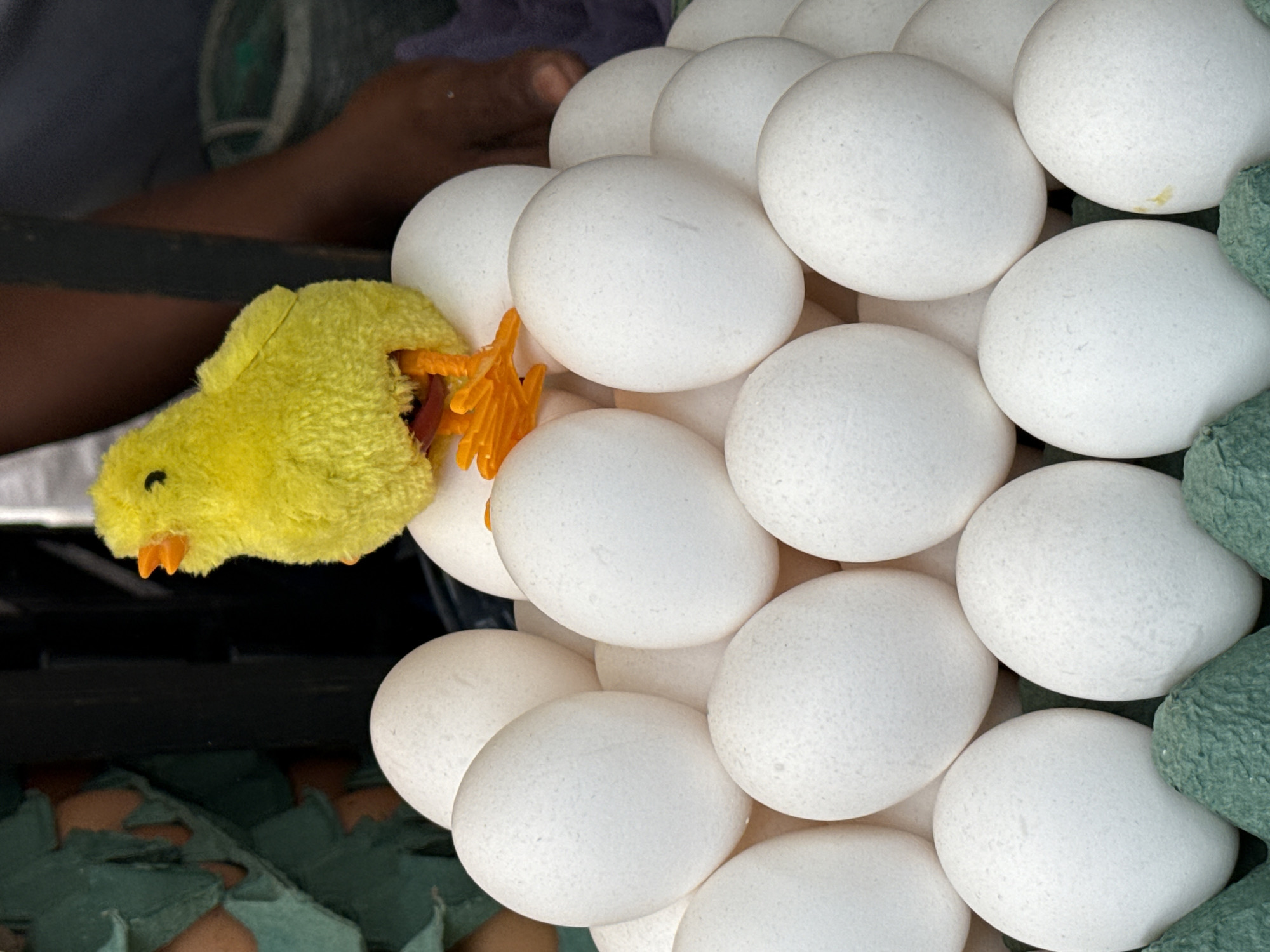 In a close-up shot of a vendor's stall in Nilópolis, Brazil, a pile of white eggs is displayed in green cartons. Perched atop the eggs is a small, fuzzy yellow chick figurine with orange feet and beak. The background is out of focus, but suggests a busy street or market environment with a person's hand and arm visible on the right side. The lighting appears to be natural, indicating the image was taken outdoors during the day.