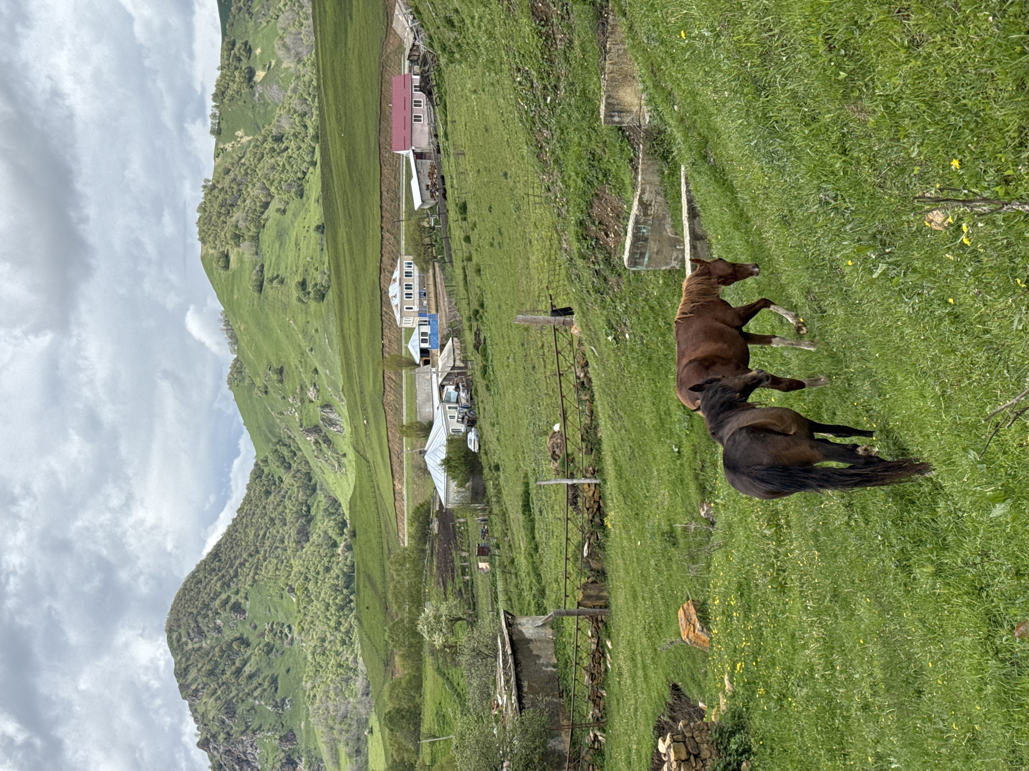 Two horses stand on a grassy slope in Верхняя Мара, Russia. The landscape includes a mountain to the left, a village with buildings of varying colors and structures in the background, and a mix of green grass and sparse trees.