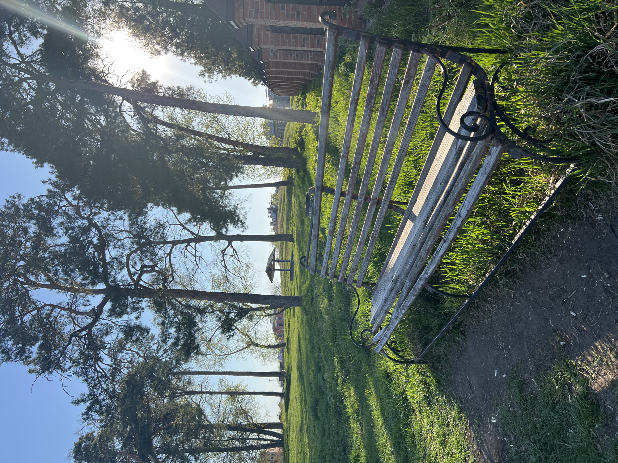 The image depicts a park in Sviyazhsk, Russia, with a weathered wooden bench resting on a grassy area bordering a dirt path. Trees line the park, with sunlight filtering through their branches. In the distance, a small pavilion is visible amidst the green lawn. A building with a brick facade stands in the background. There are no people visible in the scene.