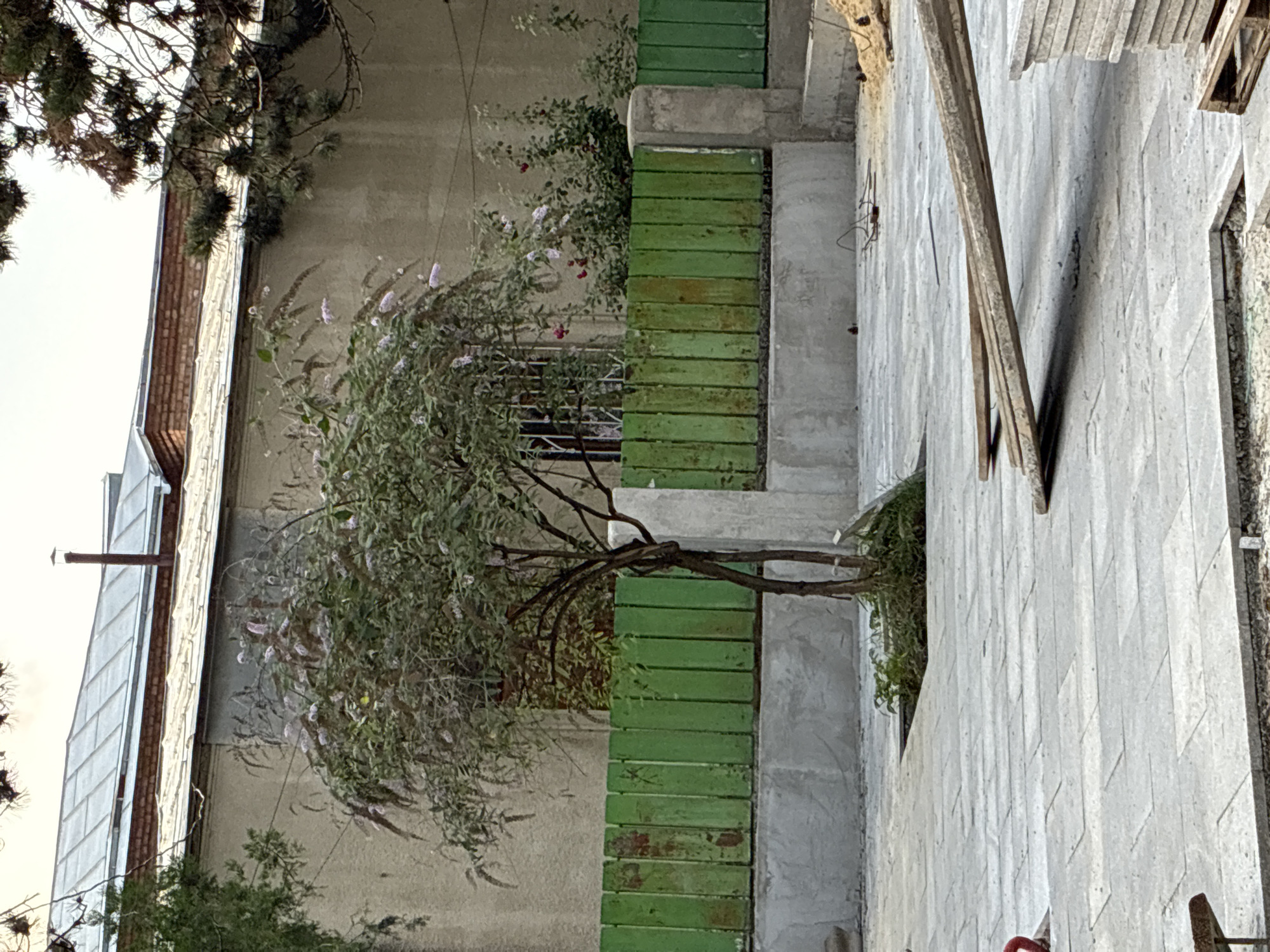 The image depicts an outdoor scene in Surami, Georgia. In the foreground, a paved area with stone tiles shows signs of ongoing construction or renovation, with some wooden planks resting diagonally on the ground and a stack of stone slabs to the right. A small tree with delicate purple flowers grows in a raised planter box within the paved area. Behind the planter, a weathered green wooden fence runs horizontally across the midground, separating the paved area from a building. The building itself has a textured, light-colored facade, with a metal roof and a red brick base visible at the top. Behind the fence, there are some bushes with red flowers. The overall impression is a quiet, possibly residential or public space undergoing some work.