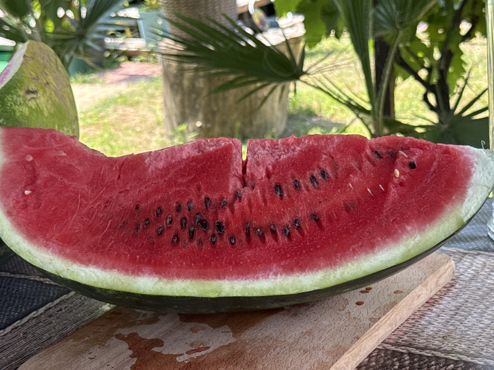 A sliced watermelon rests on a wooden board, its vibrant red flesh and dark seeds contrasting with its green rind. The watermelon is positioned on a woven placemat, hinting at an outdoor setting. In the background, lush green foliage suggests a garden or park, with a hint of a concrete structure and possibly outdoor furniture, indicating a leisurely environment. The scene appears to be a snapshot of a summer day, likely taken in Serhiivka, Ukraine, given the context provided, evoking a sense of refreshing simplicity.