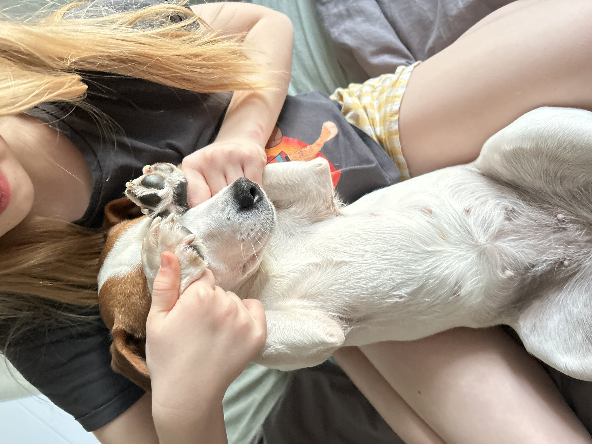 A person with blonde hair is seen in a close-up, overhead shot while lying on a bed and holding a dog on their lap. The person is wearing a gray t-shirt with a graphic on it and yellow plaid shorts. The dog is lying on its back with its legs in the air, and the person is holding the dog's paws with their hands. The setting appears to be an indoor environment, possibly a home. There is no information to confirm this image was taken in the city of Chaikovsky, Russia.