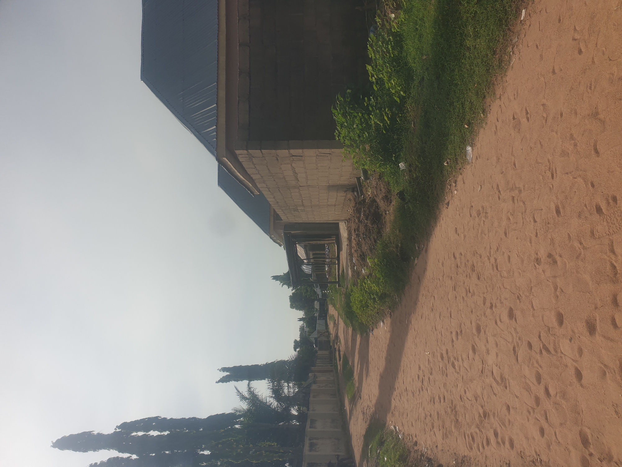 A sandy path winds through a residential area in Jauro Yinu, Nigeria, flanked by a low, aged concrete wall on the left and developing buildings on the right. Tall, slender trees, some appearing like cypress or poplar, rise against a hazy sky on the left, intermingled with palm trees. The path is textured with numerous footprints. On the right, a partially constructed building made of concrete blocks with a corrugated metal roof is visible. Adjacent to the building, green vegetation grows, with some scattered debris present. Further down the path, more buildings and vegetation are visible in the distance. The overall impression is one of a developing, semi-urban environment.