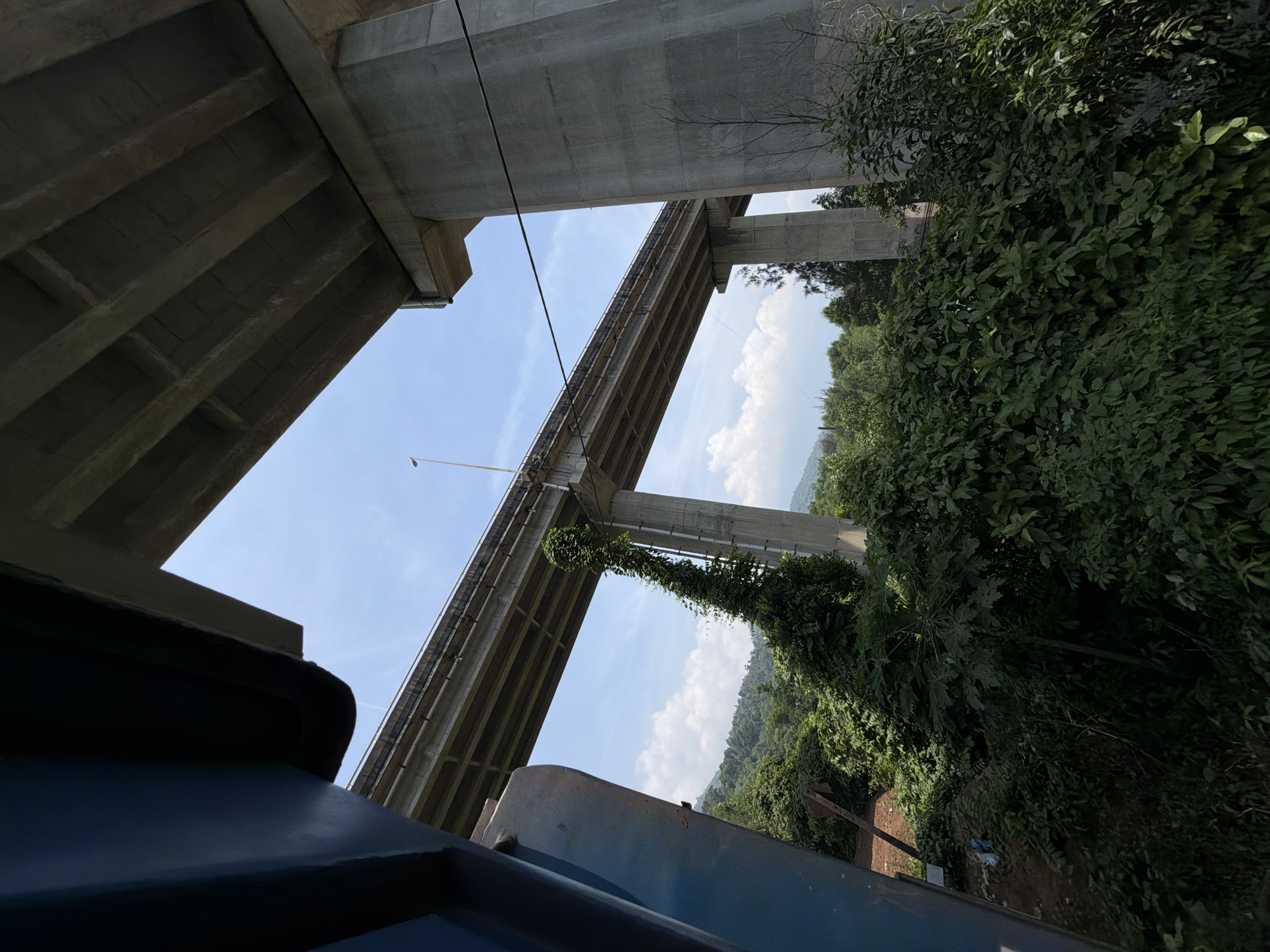 The image shows a view looking upwards at two concrete overpasses, likely highway bridges. The sky is visible between the structures. Lush green vegetation fills the right side of the frame, with some vines growing on one of the bridge supports. The lower part of the picture includes the top of a blue structure. Based on the location information (Hue, Vietnam), the concrete overpasses are the bridges on the QL1A Highway north of Huế.