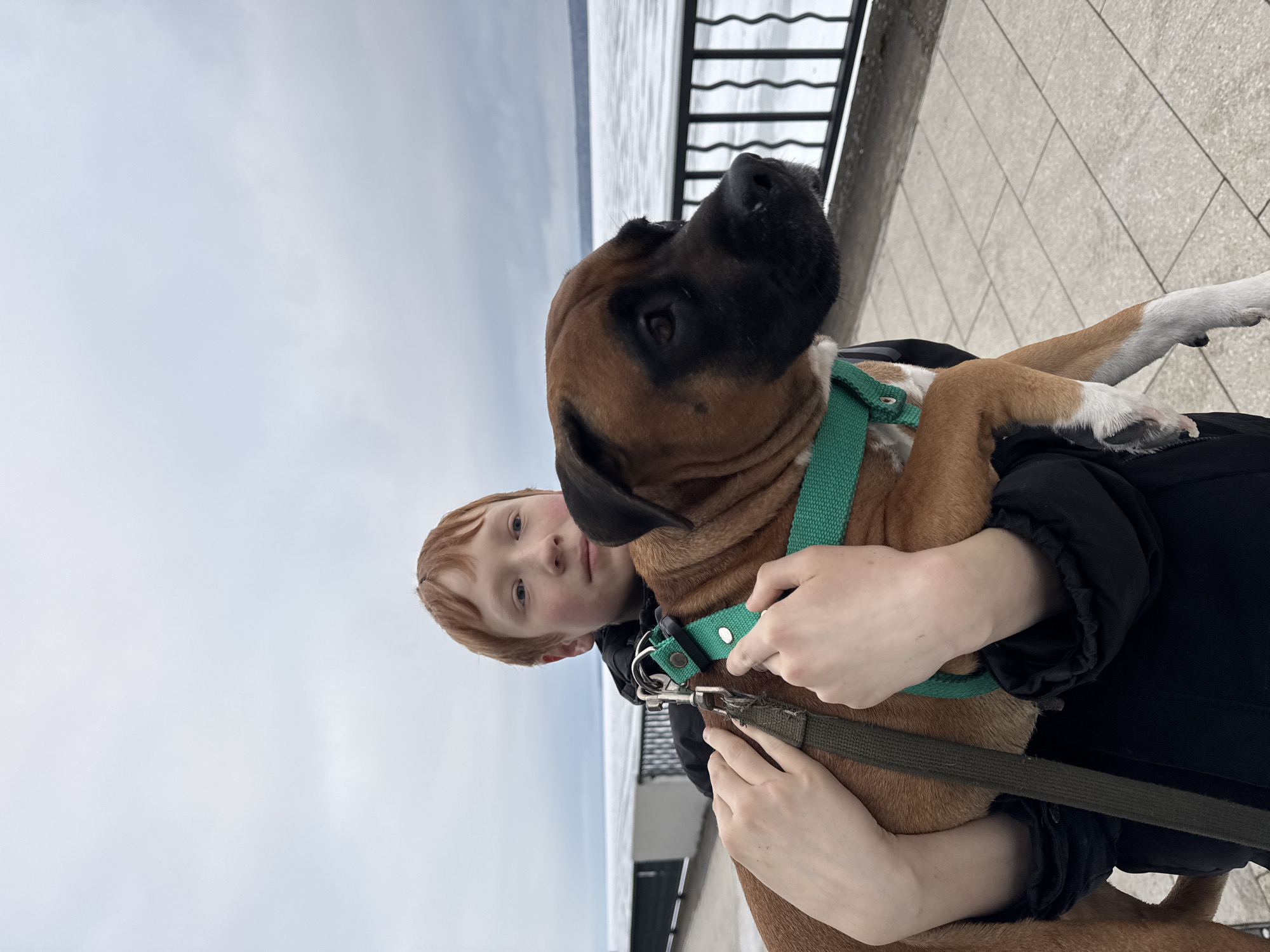 A young person with light skin and reddish hair is holding a brown Boxer dog with a black muzzle. The dog is wearing a green harness. The young person is wearing a black coat. They are standing on a tiled walkway with a black metal railing behind them. In the background is a body of water and a cloudy sky. The photograph appears to have been taken in Chaikovsky, Russia.