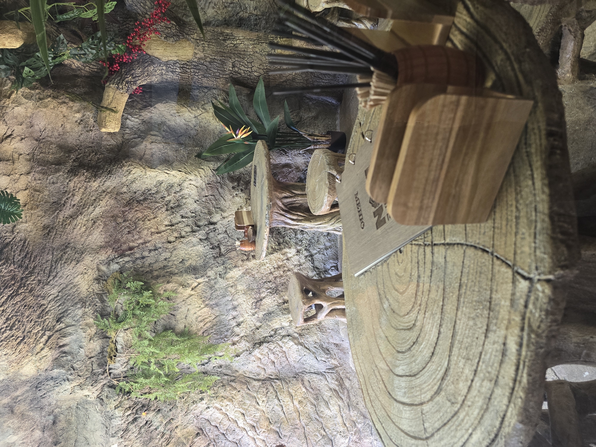 Captured from an elevated vantage point, the image reveals a scene dominated by textured rock formations, adorned with varied botanical elements including green foliage, feathery plants, and striking red berries. A Bird of Paradise plant commands attention with its vibrant flower. A prominent wooden table or structure anchors the composition, exhibiting distinct concentric rings reminiscent of a tree trunk. This is positioned to the right, overlapping with a menu holder or display, adding a sense of artificial construction within the natural environment. A bundle of dark, straw-like sticks protrudes from a container on the table, adding an element of organized clutter. The location is Unknown, Unknown.