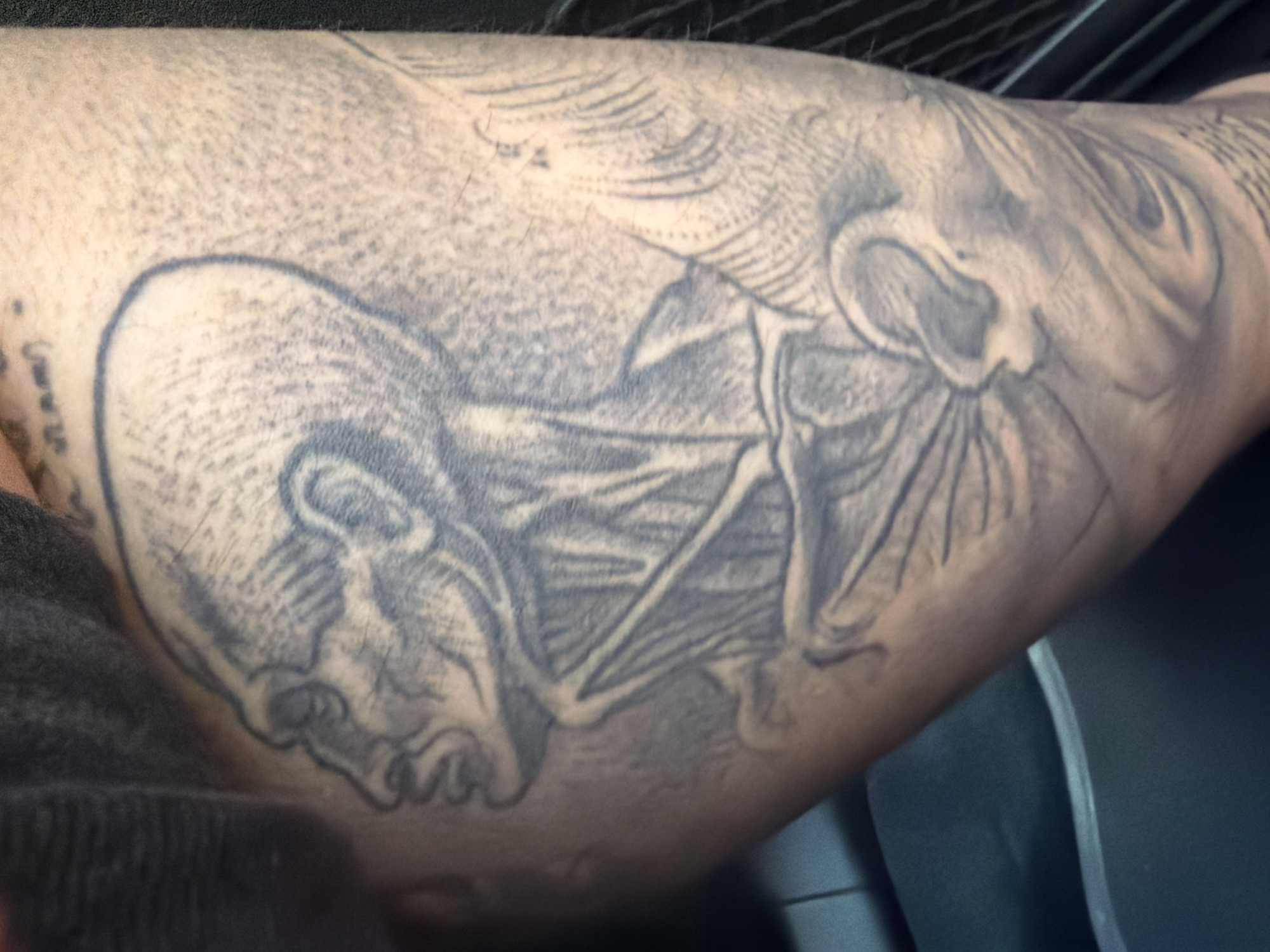 A close-up shot features a person's arm, showcasing a black and grey tattoo. The tattoo depicts a creature resembling a bat or a mythological gargoyle, with its head positioned on the left side of the arm, complete with a distinct ear and facial features. Large, detailed wings extend from the creature's body towards the right, featuring intricate vein-like structures and shading. The tattoo utilizes a soft, shaded style with clean outlines. The arm's skin is visible, showing natural hair follicles and fine hairs around the tattooed area. The background is dark and out of focus, suggesting an indoor environment, possibly a car interior, with dark, textured material on the left and a smooth dark surface on the right. No specific activity is taking place, and no text is visible.