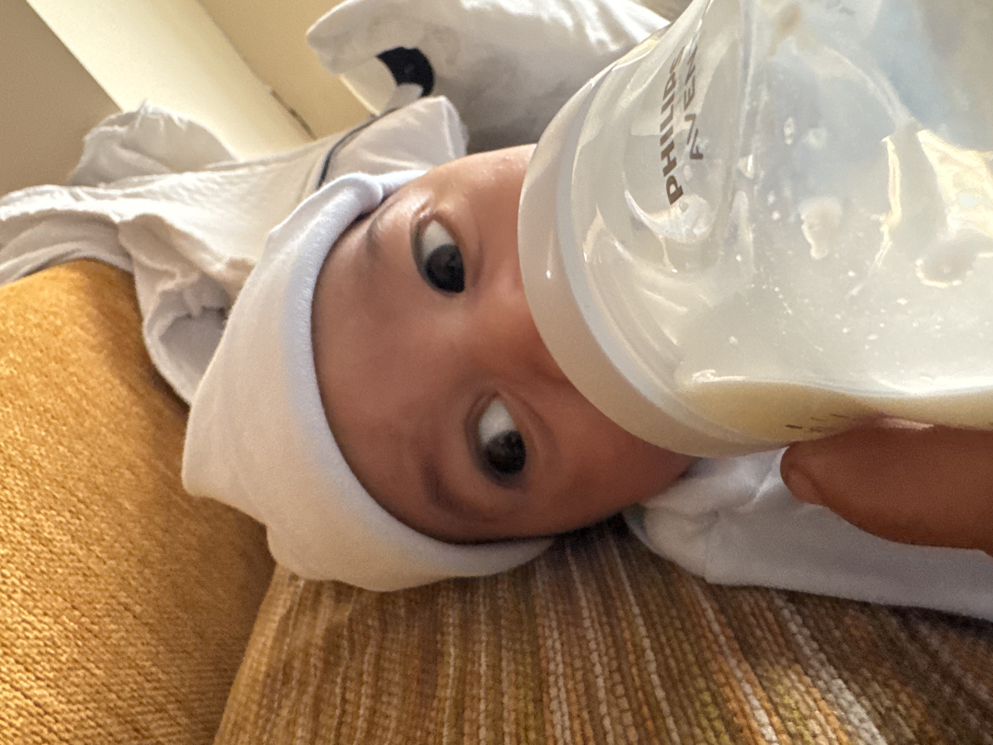 A close-up, tilted shot shows a baby, presumably a few weeks old, being bottle-fed. The baby has dark eyes and wears a white hat and white clothing. A Philips Avent bottle, partially filled with a white liquid (likely formula or breast milk), is positioned at the baby's mouth. A hand is holding the bottle. The baby is lying on what appears to be a yellow and brown textured surface, perhaps a blanket or pillow. There are additional white cloths/blankets near the baby's head. The scene is indoors, with indirect lighting. There is no information about the location in the city of Sofia, Bulgaria.