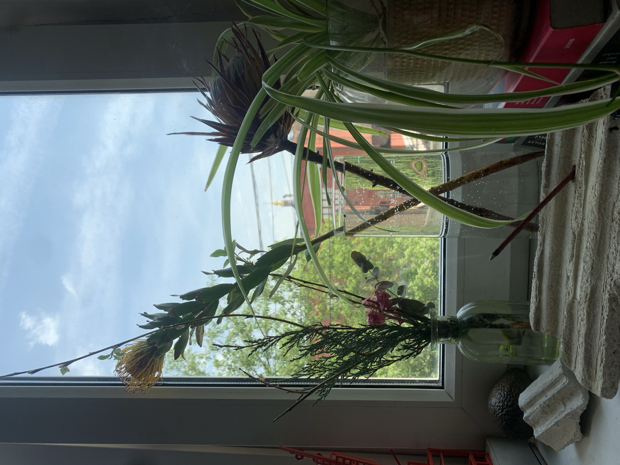 The scene is an interior view through a window. The window sill is occupied by several items, including: two glass containers with flower arrangements, a houseplant, and a piece of decorative architectural molding and an avacado.
Outside the window, a partial view of an urban landscape is visible, featuring trees and rooftops. In the distance, what appears to be a spire, similar to those on cathedrals or government buildings, is faintly seen, which may possibly locate this scene in Moscow, Russia, given the prevalence of such architectural features. However, without more definitive elements, the exact location remains speculative. The sky is partly cloudy.