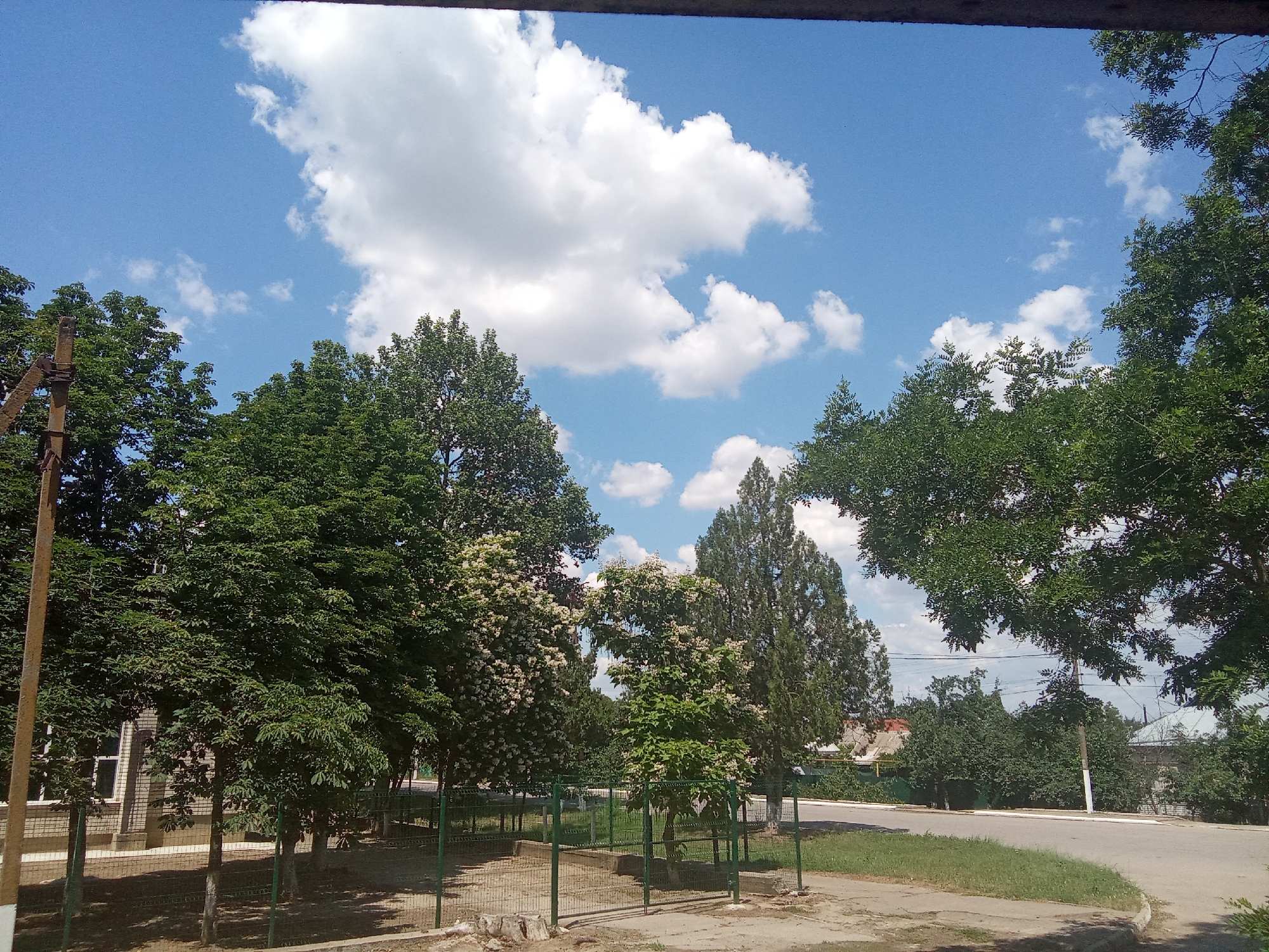 In an outdoor scene under a bright blue sky with scattered white clouds, a row of green trees is visible. The trees vary in size and density, with some appearing to be deciduous and others coniferous. In the foreground, a chain-link fence encloses a small area with some patchy grass and dirt. Beyond the fence, a paved surface, possibly a sidewalk or road, is present. In the background, buildings with red and gray roofs are partially visible through the foliage. A utility pole with some wiring is also present on the left side of the image. The scene appears to be in a suburban or semi-rural area.