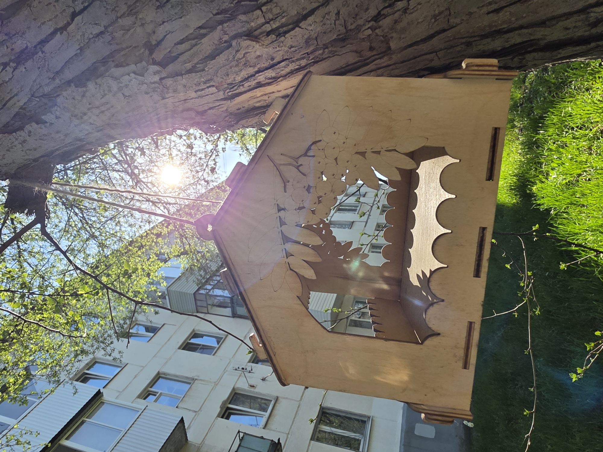 The image depicts a wooden birdhouse hanging from a tree, situated in the city of Chaikovsky, Russia. The birdhouse is made of light-colored wood and features decorative cutouts of leaves and berries. The tree's bark is visible above the birdhouse, and the sun shines through the branches. In the background, there is a multi-story building with windows, along with a patch of green grass.