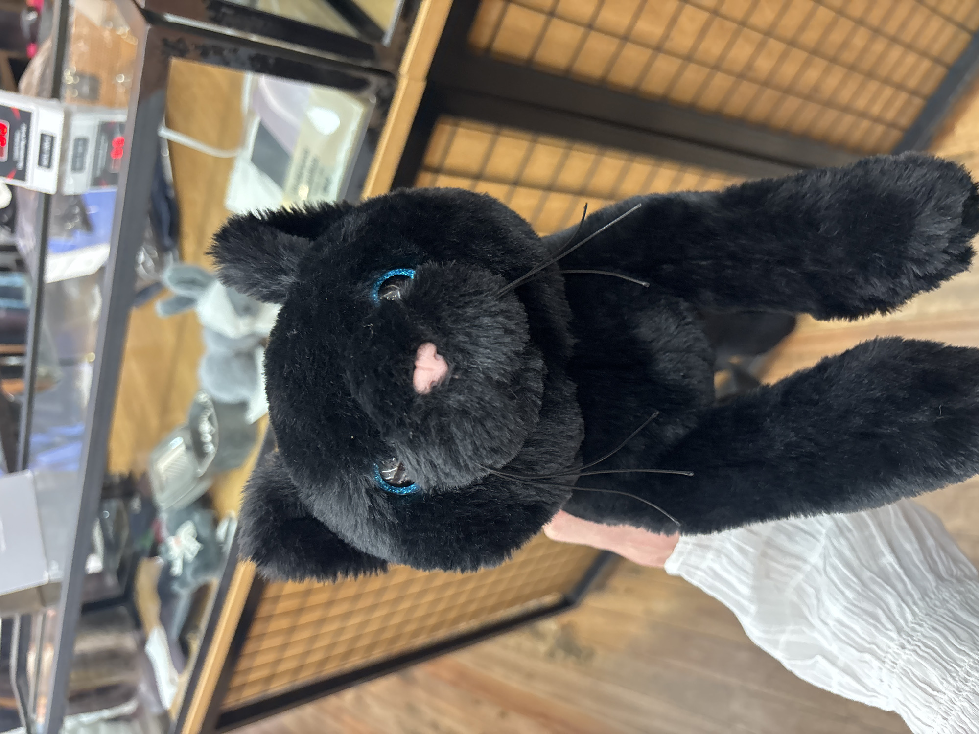 The image shows a close-up of a black plush cat with blue eyes and a pink nose. The cat is being held, as evidenced by the visible white fabric of a sleeve. The background includes a display case containing various items and a slatted ceiling. There is no information available in the image that indicates the city or country where the picture was taken. Therefore, it is impossible to determine if it was taken in Buenos Aires, Argentina.