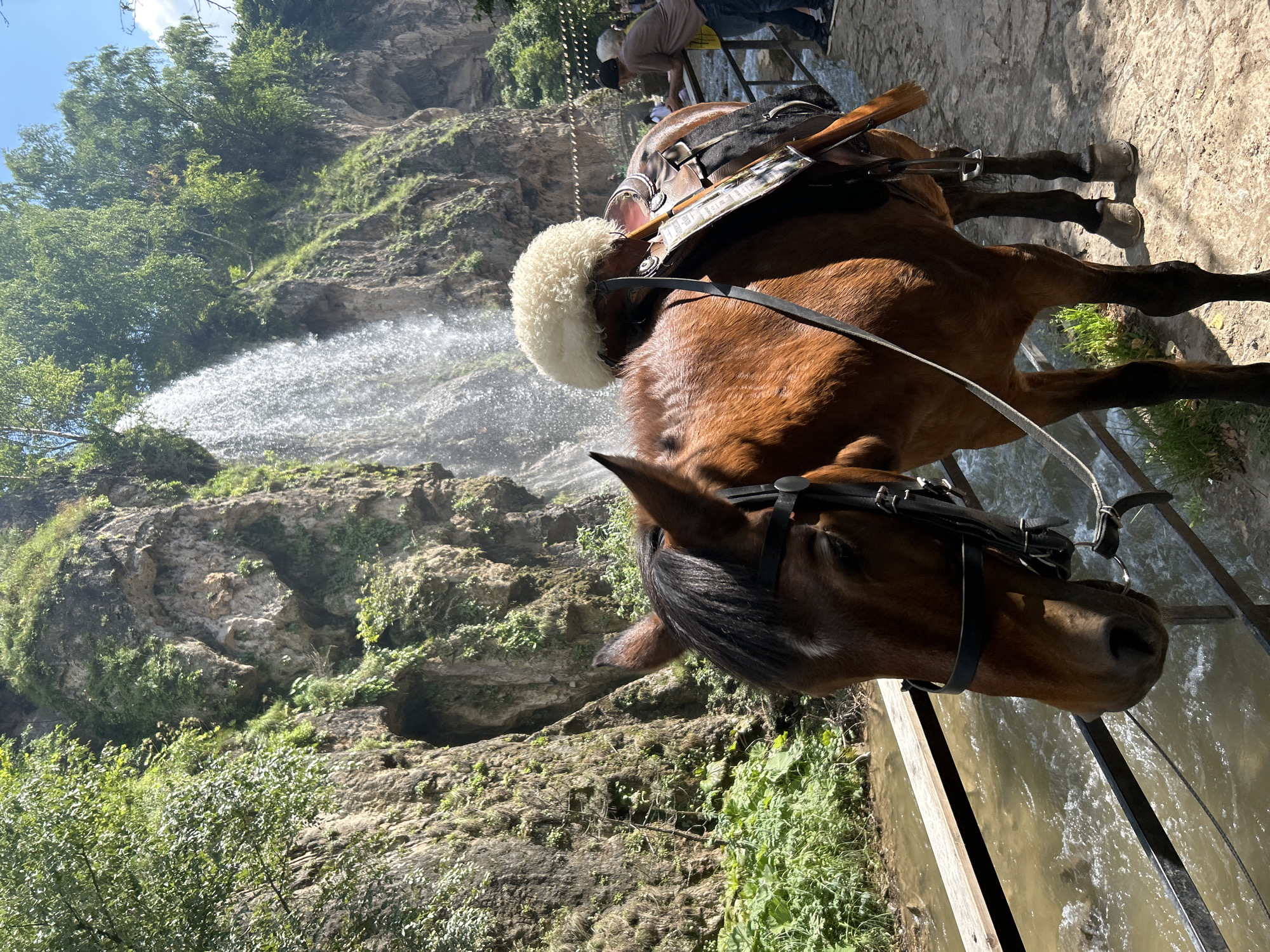 A brown horse stands beside a railing, its head lowered to drink from a river. The horse is saddled with a traditional fuzzy hat placed on its saddle. Behind the horse, a waterfall cascades down a rocky cliff face covered in lush greenery. In the background, several people can be seen standing near the river. The scene appears to be in a natural park or tourist attraction, possibly the city of Krasnyy Kurgan, Russia, known for its natural beauty. The overall atmosphere is serene and picturesque, with the natural elements of water, rock, and vegetation dominating the landscape.