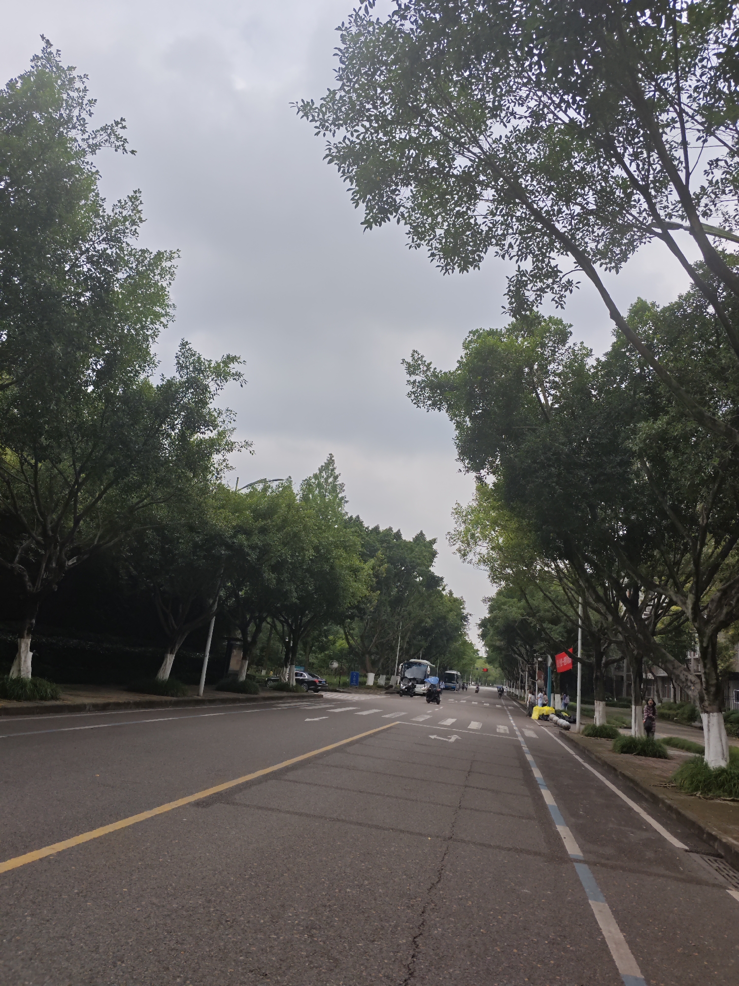 The image depicts a street scene in the Chongqing High-tech Zone, China, under an overcast sky. A two-lane asphalt road runs through the center of the frame, bordered by sidewalks and dense foliage from mature trees lining both sides. The trees are tall with full, green canopies, and their trunks are painted white at the base. On the left side of the road, a grassy slope is visible, also covered in vegetation.
Several vehicles are present on the road. A white bus is seen in the distance on the left lane, and a blue umbrella is being used by someone on a scooter or motorcycle traveling behind it. On the right lane, a white van and a dark-colored car are also visible. Further down the right side, a red flag is displayed on a pole.
On the sidewalk to the right, several people are present. One individual, wearing a patterned shirt, stands near a tree. Piles of yellow and black objects, possibly merchandise or luggage, are placed on the sidewalk. The road is marked with a solid yellow line separating the lanes and white dashed lines for lane divisions. A pedestrian crossing with white arrows is also visible on the road surface. The overall environment suggests a well-maintained urban or suburban area with significant greenery.