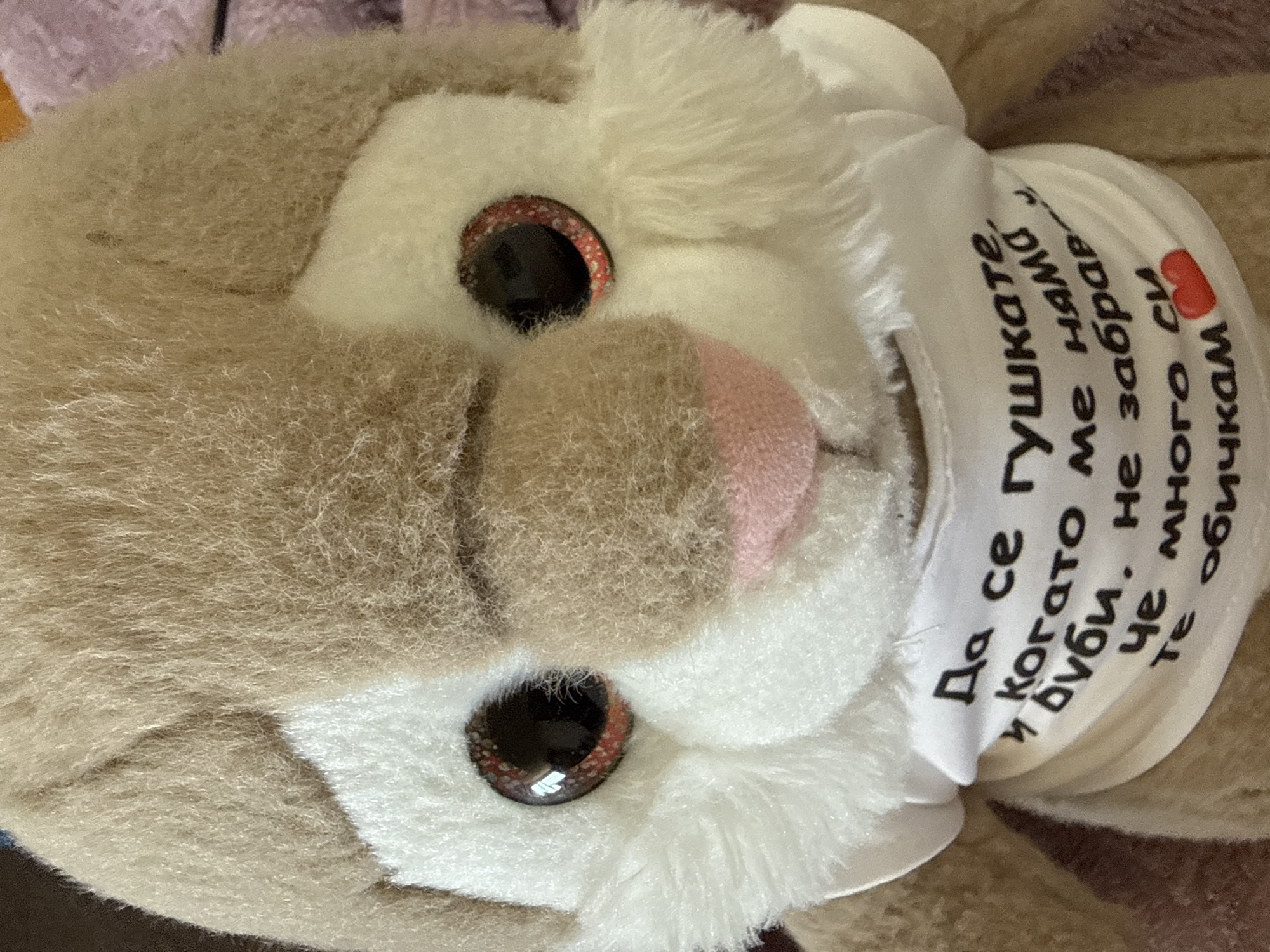 The image shows a close-up of a plush toy bunny. The bunny has brown and white fur, with brown eyes and a pink nose. A white fabric is wrapped around its neck, displaying text written in Bulgarian, including a small red heart. The text translates to "So you can hug me when I'm not there, and kiss me, don't forget that I love you very much." The toy appears to be indoors, resting on a surface with a neutral color. There is no indication of the location within Sofia, Bulgaria, in the image.