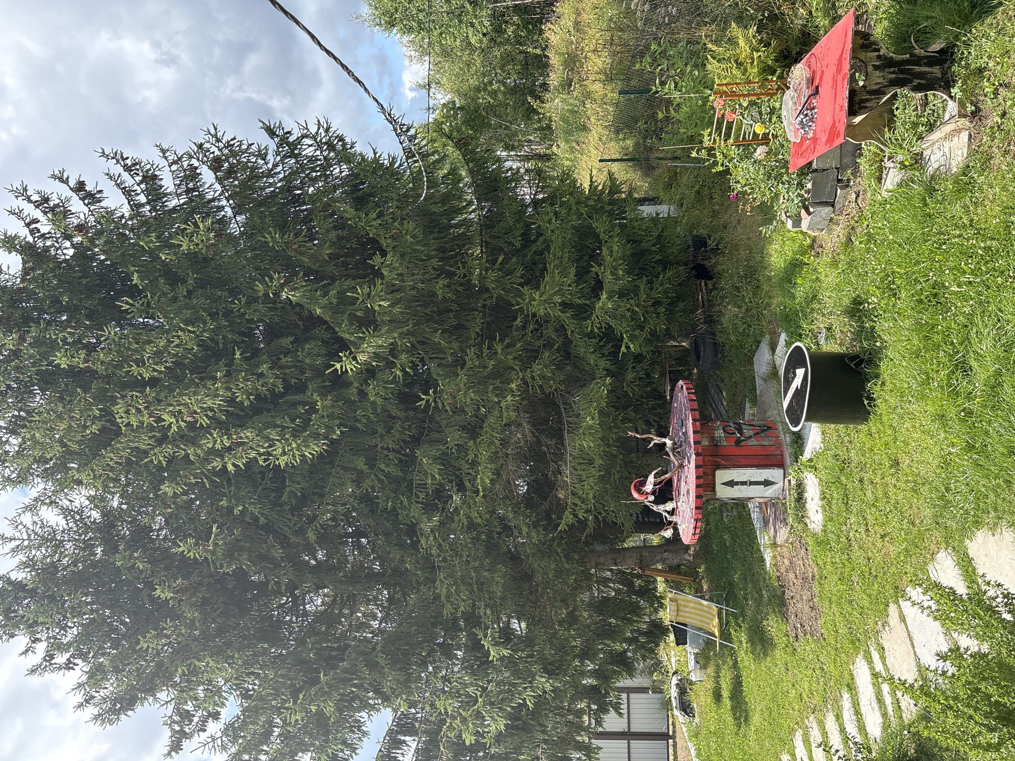In Lyady, Russia, a backyard scene unfolds under a partly cloudy sky, dominated by a large evergreen tree. The yard features a circular table painted red and black, with a white arrow sign pointing upwards on its base. A black bucket sits beside it. To the right, a smaller red table holds two wire baskets, one containing a cluster of red and white objects. In the background, a yellow and white striped lounge chair rests near a white fence. Lush green grass covers the ground, interspersed with stone stepping paths. The overall impression is one of a rustic, outdoor space.