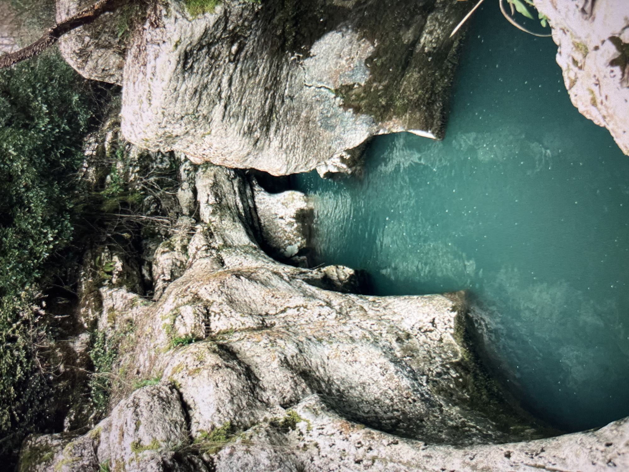 The image depicts a natural gorge with a body of clear, turquoise water flowing through it. The gorge walls are composed of rough, light-colored rock, textured with erosion and covered in patches of moss and vegetation, especially at the top where a dense canopy of green trees forms the upper boundary. The water's surface is slightly rippled, with some small bubbles visible, suggesting movement or underwater currents. The scene is framed by the imposing rock formations that narrow the gorge, creating a sense of enclosure. The lighting suggests it is daytime, with shadows cast by the rock walls and trees. There are no people or animals visible in the image. The image is a landscape photograph focused on the natural beauty of the gorge and its waterway.