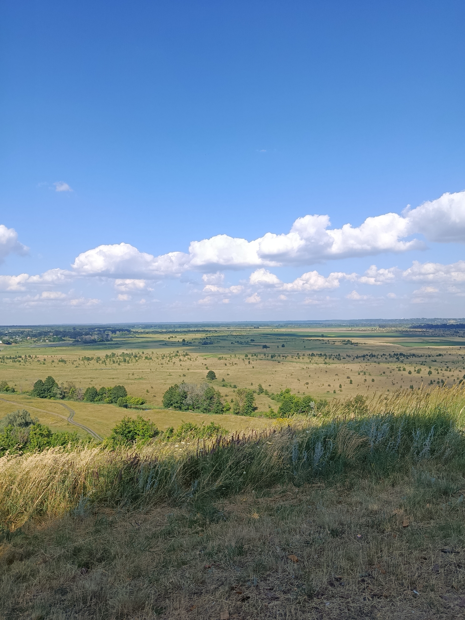 This is a landscape image captured from a high vantage point, looking out over a vast, rolling valley under a bright blue sky dotted with fluffy white clouds. The foreground is dominated by dry, tall grasses and vegetation, suggesting a warm, possibly late summer day.
The middle ground features a patchwork of green fields and lighter, drier grasslands, interspersed with scattered trees and small clumps of trees. A winding dirt path or road is visible cutting across one of the green fields, leading towards the distant horizon. The landscape appears rural and undeveloped, with no obvious structures or signs of human habitation other than the path.
In the far distance, the landscape becomes a hazy expanse, with faint lines suggesting more fields and possibly a very distant town or settlement on the horizon. The lighting suggests it is daytime, likely midday or early afternoon, given the brightness and the shadows cast by the vegetation. The overall impression is one of natural beauty, tranquility, and a sense of wide-open space. There is no visible text in the image.