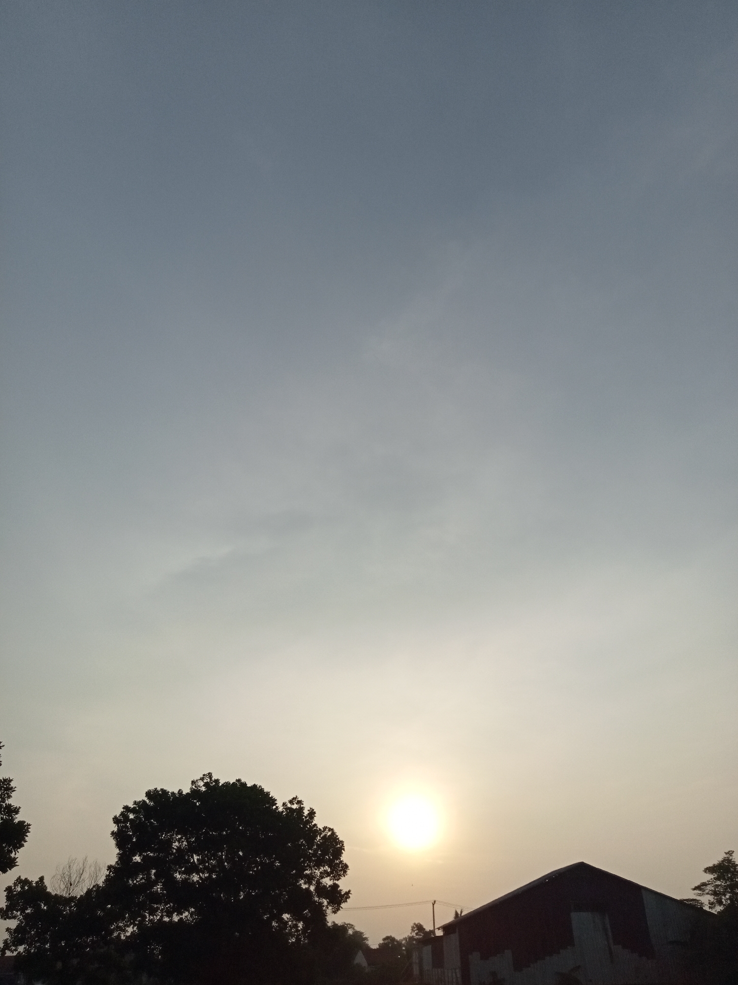 The image depicts a low-angle, vertical view of a silhouetted landscape during what appears to be sunset or sunrise, with the sun as a bright, luminous orb in the lower center. A large, dense tree with a dark silhouette dominates the left side of the frame. To the right of the tree, a building with a dark, sloped roof is visible, partially obscured by the tree's foliage. The sky is a gradient of pale blue and soft yellow, with faint wispy clouds. The overall impression is one of a rural or semi-rural setting in Teluk Kenidai, Indonesia, characterized by natural elements and modest structures under a tranquil sky.