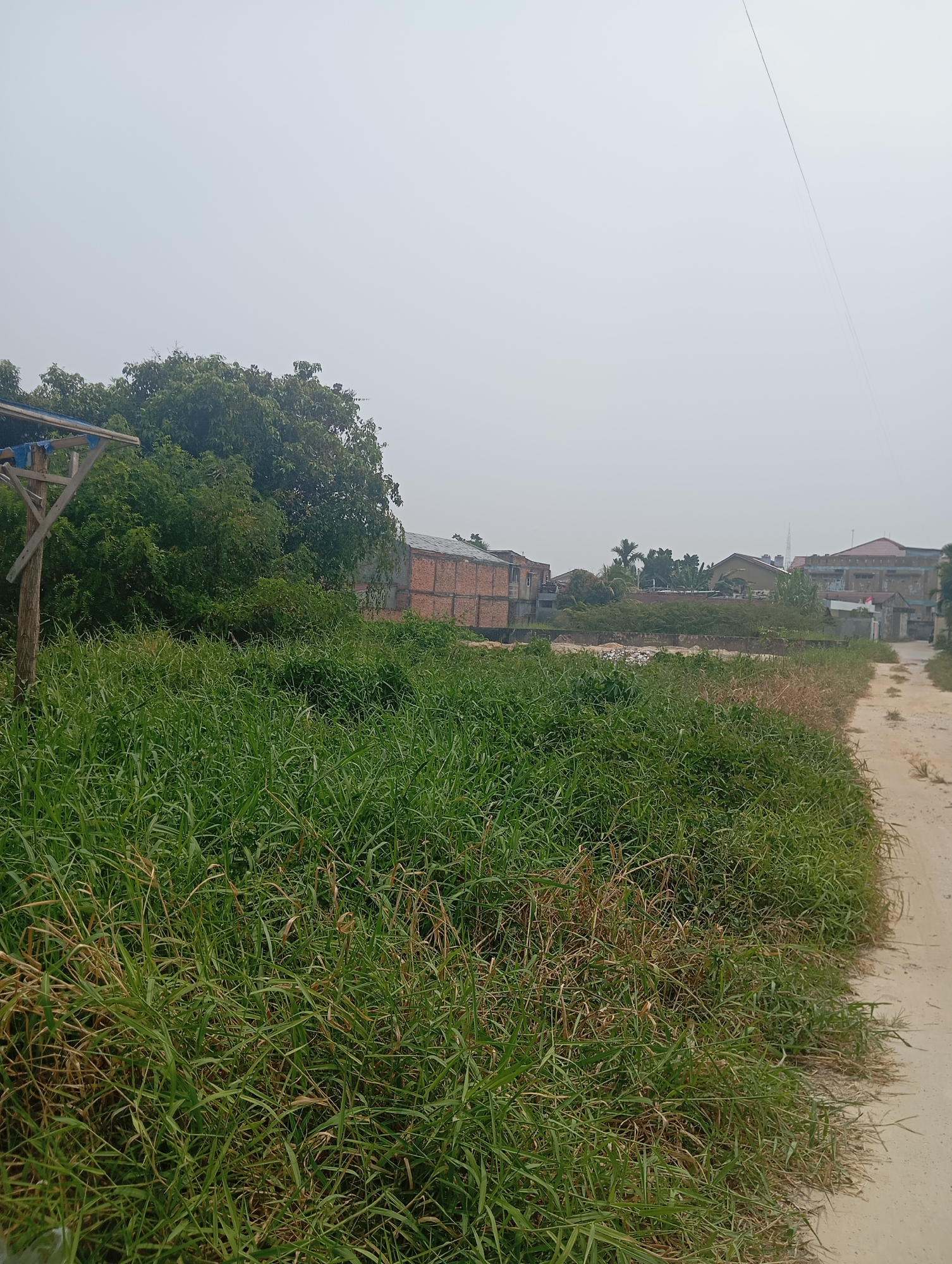 The image depicts an overgrown plot of land adjacent to a dirt road on a hazy day in Pekanbaru, Indonesia. Tall, green grass with some dry, brown stalks dominates the foreground and midground. In the background, a few buildings are visible, including a partially constructed brick structure, a house with a reddish-brown roof, and other residential buildings. A wooden post with a blue tarp attached stands to the left, suggesting some form of rudimentary construction or shelter. A thin black wire, likely a power line, stretches diagonally across the sky. The overall scene suggests an undeveloped or semi-developed area within the city.