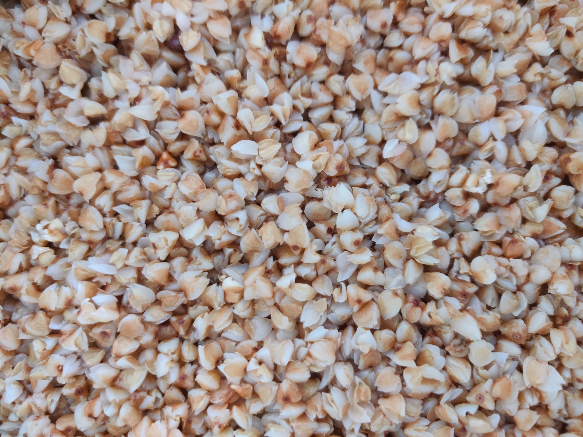 The image is a close-up, overhead shot of uncooked buckwheat groats. The groats are small, triangular, and have a light brown and off-white color. They are packed tightly together, filling the entire frame of the image. The lighting is even, and there are no shadows, indicating a diffused light source. The image does not depict any specific location within the city of Yekaterinburg, Russia, nor does it show any people or actions. It is a static, textural image of food.