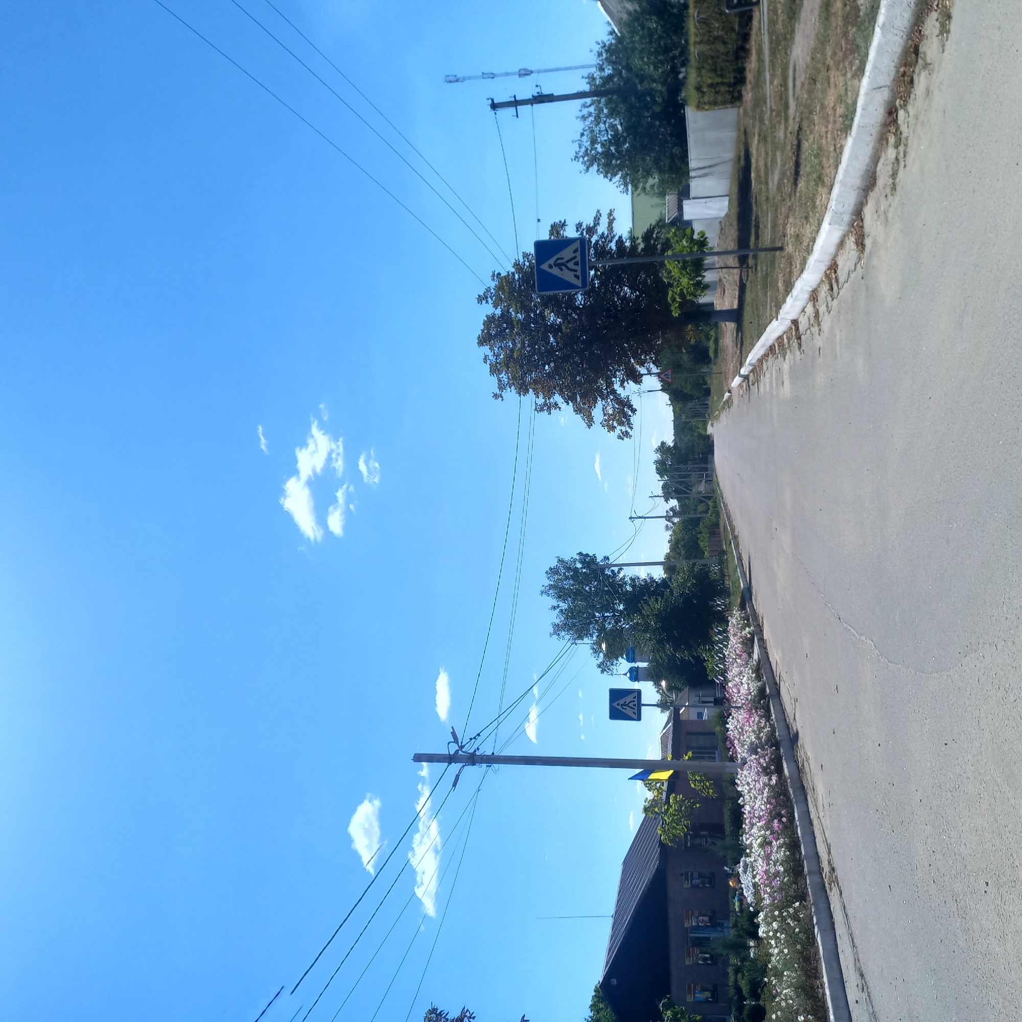 The image depicts a street scene in Klyntsi, Ukraine, on a clear, sunny day with a bright blue sky dotted with a few white clouds. A paved road stretches into the distance, lined on both sides by trees and buildings. On the left side of the road, a building with a dark roof is visible, flanked by a row of colorful flowers. A Ukrainian flag is also present, attached to a pole near the building. Several power poles and overhead wires traverse the scene.
Traffic signs are visible, including a pedestrian crossing sign with a blue square and a white silhouette of a person walking. Another smaller triangular warning sign is also present. On the right side of the road, more trees and buildings can be seen, along with a concrete curb. In the background, the domes of a church are visible, suggesting a place of worship within the community. The overall atmosphere is tranquil, indicative of a small town or village setting. There are no people or vehicles visible in the image.