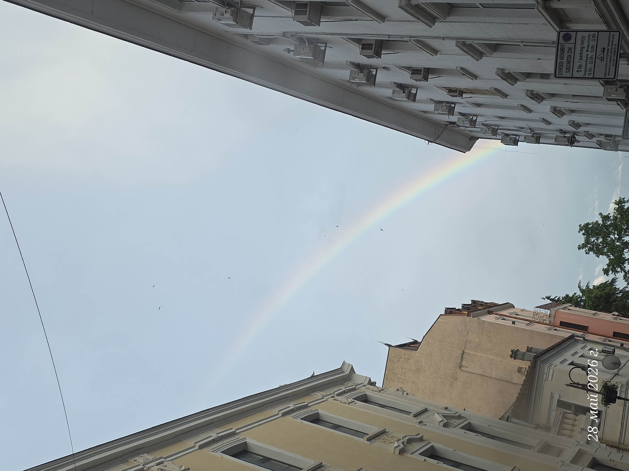 The image depicts a rainbow appearing between buildings in an urban setting, likely in Burgas, Bulgaria. The rainbow stretches across the sky, framed by the architectural lines of buildings on either side. The buildings are varied in style and color, one light yellow and another beige/pink. A sign with text in Bulgarian and English related to parking is visible on one of the buildings. A tree is visible on the right side of the image. The date "28 май 2026 г." is present at the bottom right, which means 28 May 2026. Several birds are visible in the sky. The image is oriented at an angle, giving the scene a dynamic perspective.