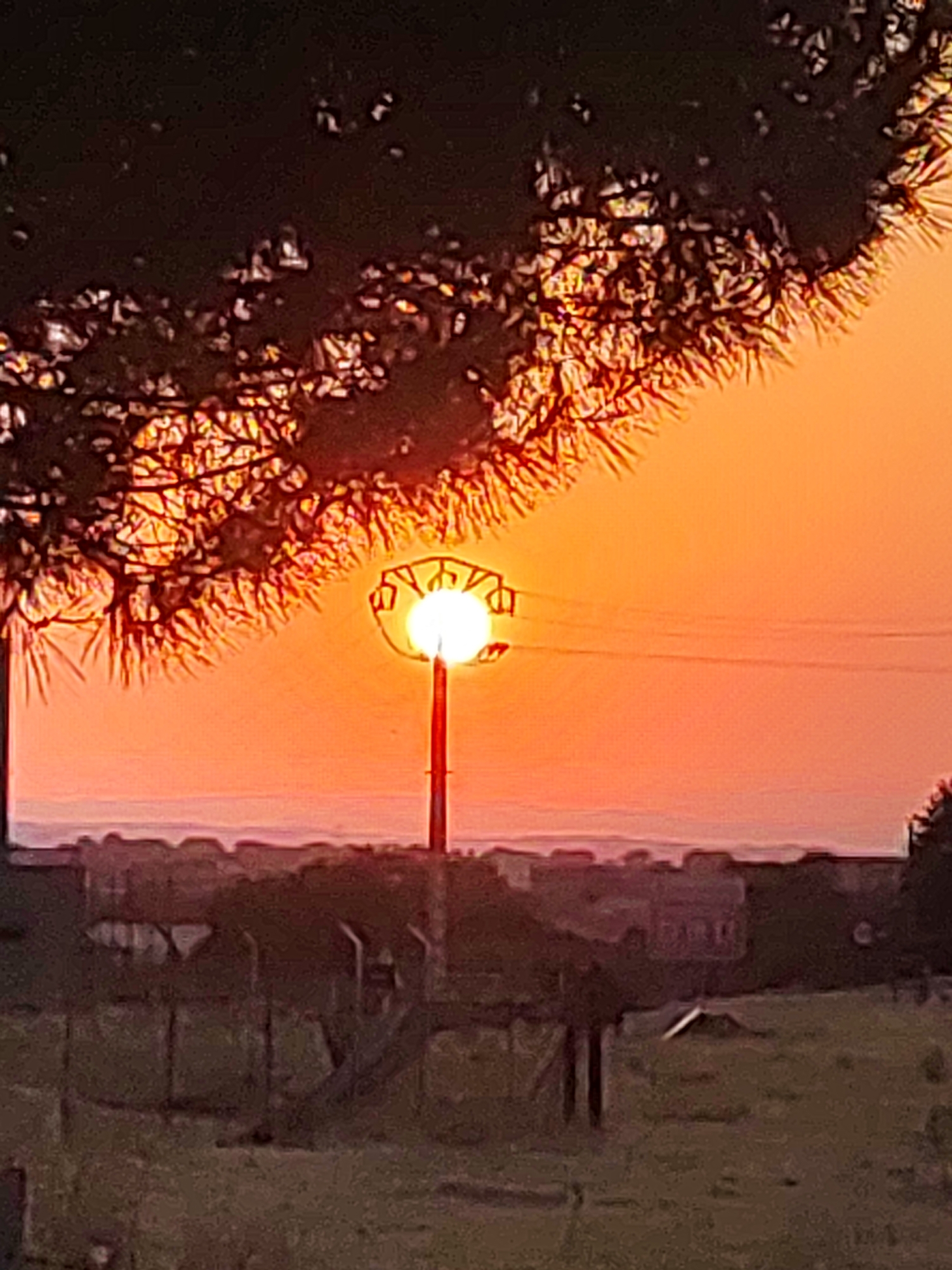 The image depicts a sunset scene in Sobradillo, Spain. A bright, orange sun is visible in the sky, partially obscured by the branches of a dark tree in the foreground. The sun is positioned behind a street lamp, which is mounted on a tall pole. The lamp's fixture has a decorative, perhaps oriental-inspired design. Beyond the immediate foreground, a line of buildings forms the distant landscape, silhouetted against the vibrant sunset. The ground in the foreground appears to be a grassy area, with some fencing and possibly a pathway visible. The overall impression is one of a rural or semi-rural setting bathed in the warm, golden light of the setting sun.