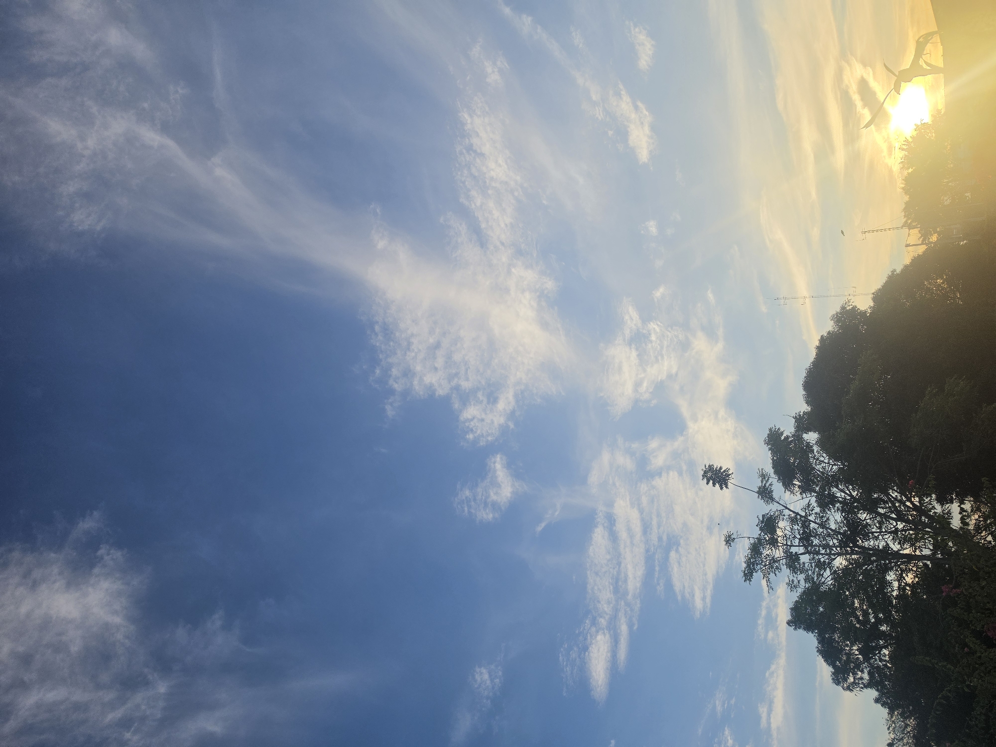 The image depicts a daytime sky with scattered clouds and a view of trees to the right. The sky ranges from deep blue in the lower left to a lighter, brighter blue mixed with white clouds towards the upper right where the sun is located. The sun's glare obscures specific details but suggests it's shining brightly.
Along the right edge of the image, dark tree foliage is visible, extending from the lower right corner upwards. At least one antenna is placed over the top of trees. The location is likely Pintomakmur, Indonesia. No people or specific actions are visible in the photograph.
