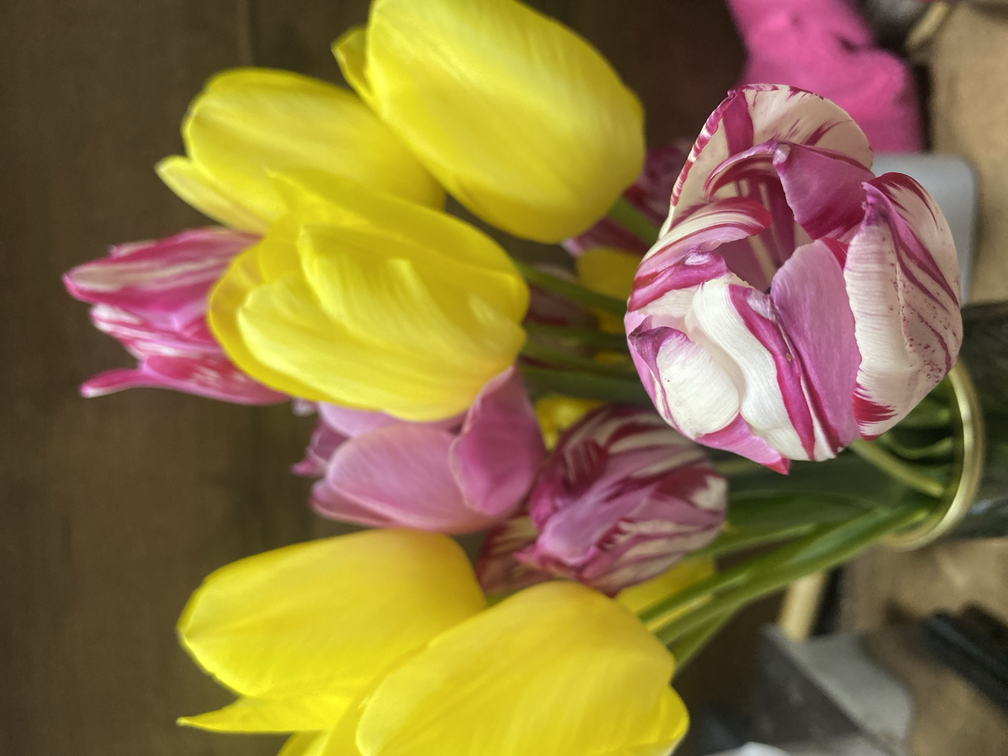 A bouquet of tulips is arranged with yellow and pink-and-white striped blooms. The tulips are partially in bloom, with some petals open. The scene's setting and location are not identifiable in the image.