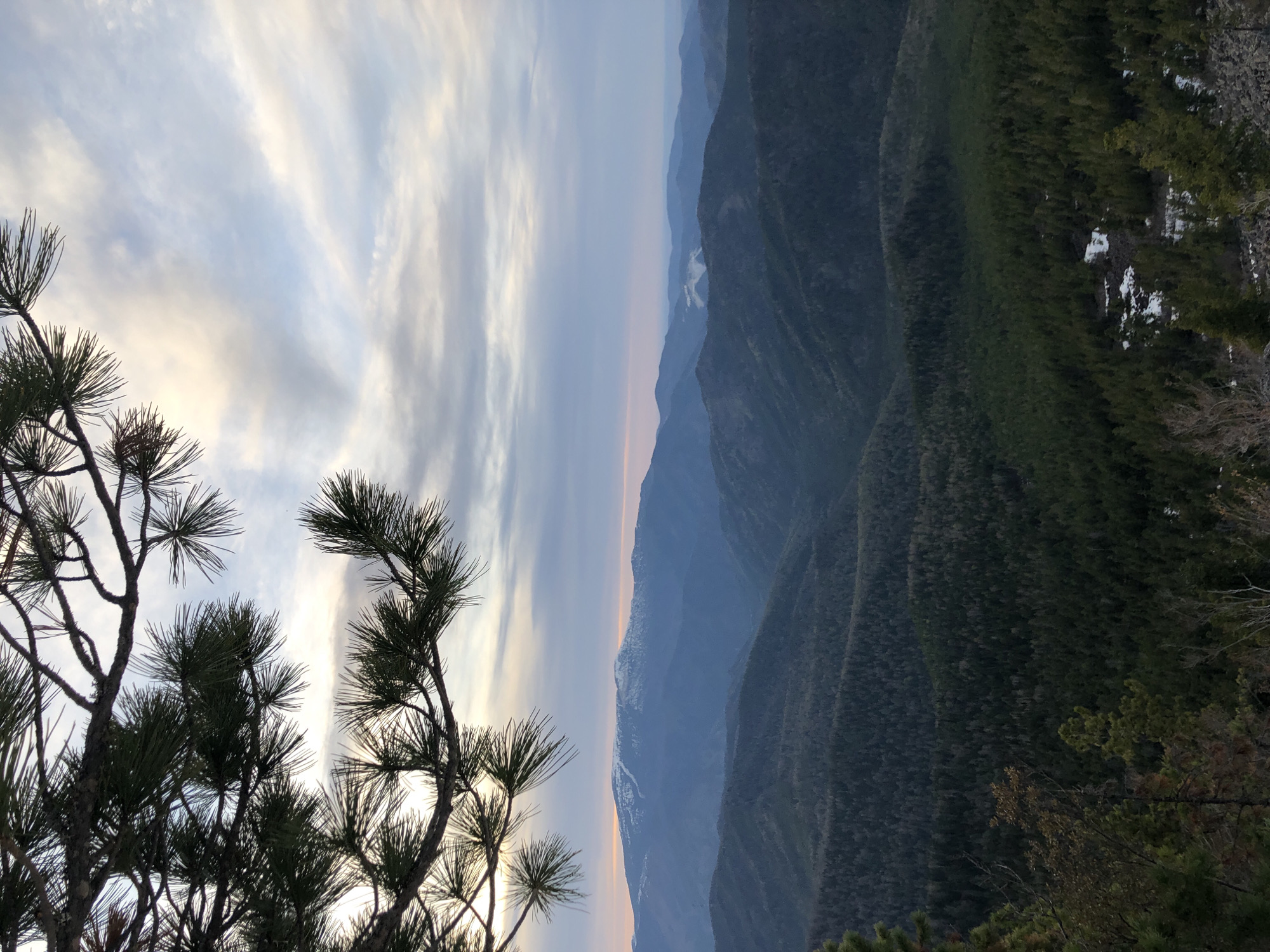 The image depicts a landscape of mountains and sky, with a tree branch in the lower left corner. The sky is filled with streaky clouds. Multiple mountain ranges are visible in the background, with varying shades of green indicating different vegetation. Patches of snow are present on the peaks of some mountains and areas of forest. The image is oriented vertically. There is no evidence to suggest this image is taken in the city of Sizaya, Russia.