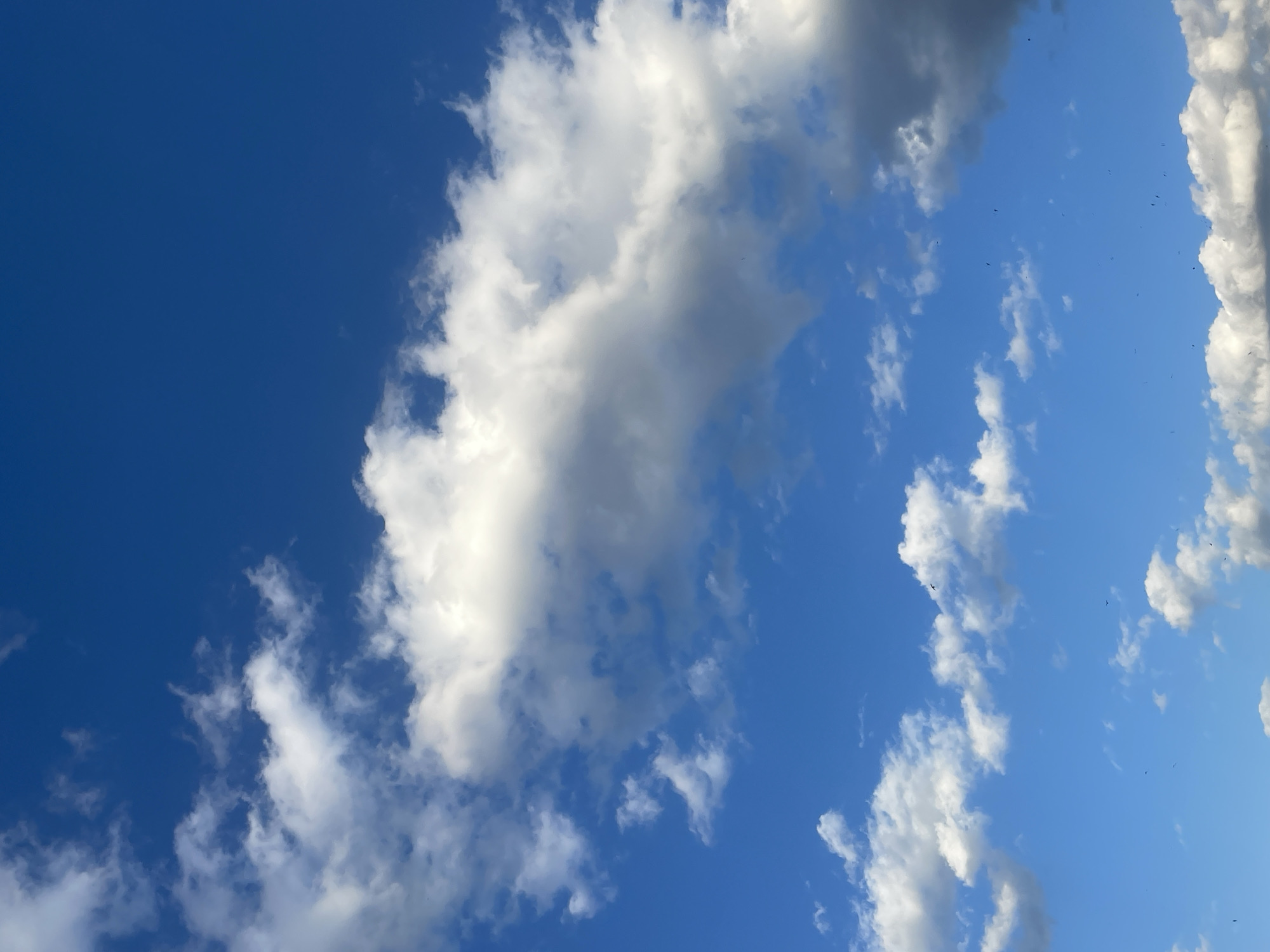 The image shows a blue sky with white clouds. The left side of the image has a clear, deep blue sky, while the right side is filled with various white clouds. There is no indication of any city or location.
