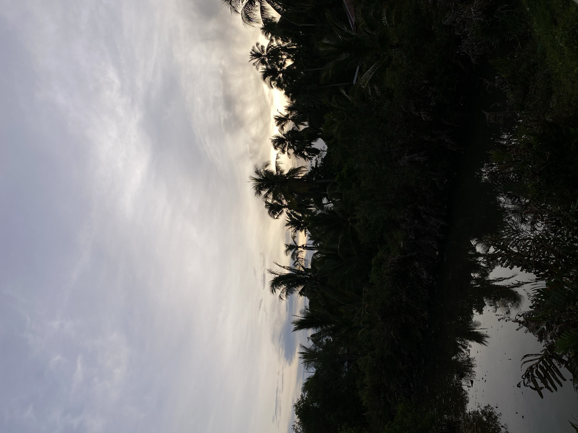 The image shows a sky filled with overcast clouds, transitioning to a line of silhouetted palm trees and lush vegetation in the Keudeublang, Indonesia. The bottom right portion of the image has a dark, reflective surface, likely water, reflecting the trees and foliage. No people or specific actions are visible.