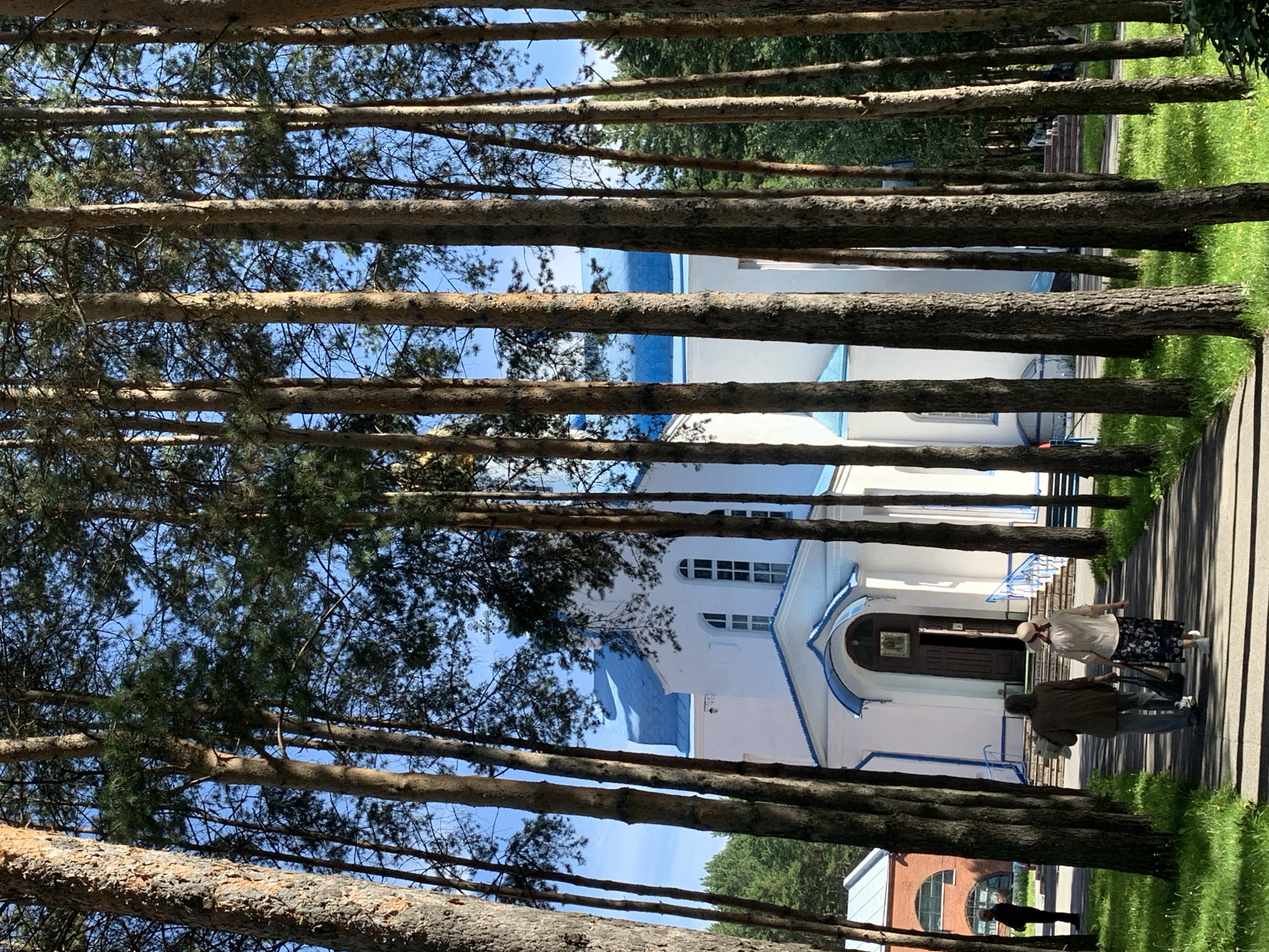 In Prokopyevsk, Russia, on a bright day, a pathway leads through a dense stand of tall pine trees. Two women, viewed from behind, walk along the path towards a white building with a bright blue roof. The building appears to be a church, indicated by its architecture and a cross visible above the blue roof. The woman in front wears a light-colored top and a patterned skirt, and a straw hat with a red ribbon. The woman behind her wears a brown jacket and dark pants, carrying a bag and some papers. The sun casts long shadows on the grass and pathway. To the left, a reddish-brown brick building with arched windows is partially visible. The environment is lush with green grass and dappled sunlight filtering through the pine needles.