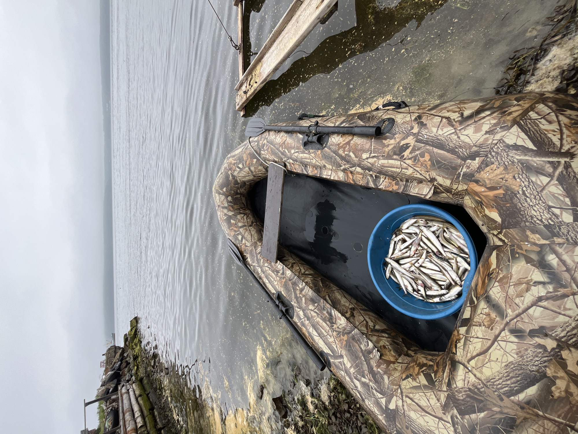 An overcast day shows an inflatable camouflage boat docked on a muddy bank with a bucket full of small fish. The boat has two oars stowed on its sides. To the right, a wooden ramp extends into the water, tethered to something unseen. In the background, the calm water of the harbor leads to a hazy horizon with a distant ship. The scene is likely in Sovetskaya Gavan', Russia, a port city known for its fishing industry.