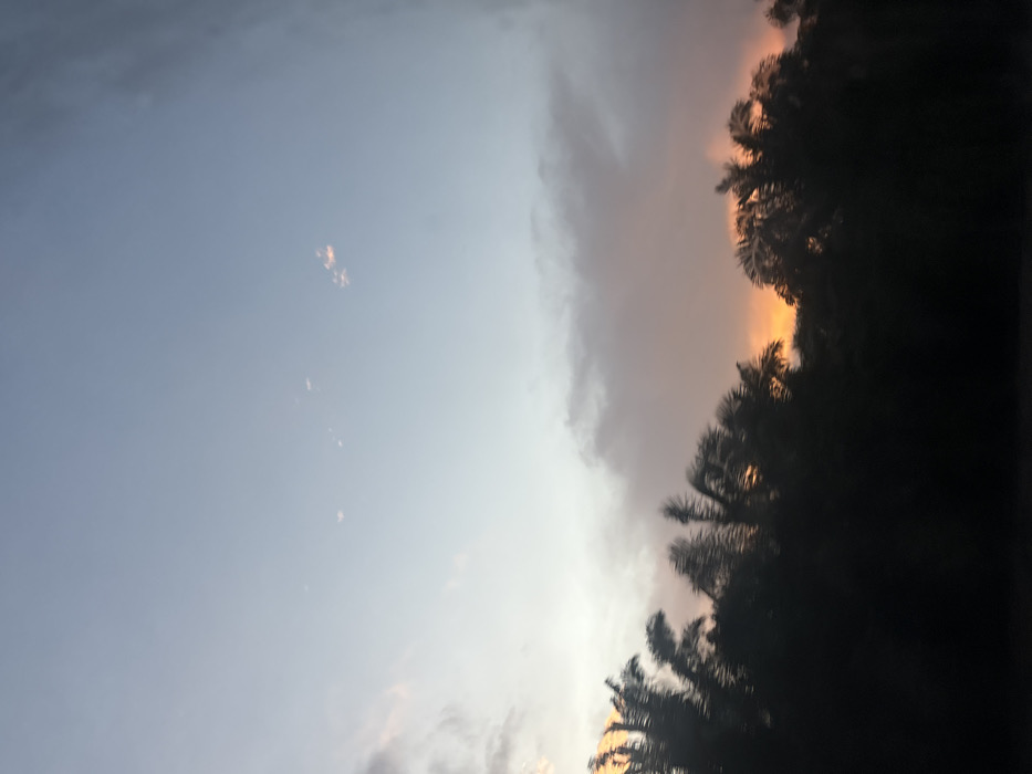 The image displays a wide-angle view of a sky at either sunset or sunrise over Ban Pak Ra, Thailand. The upper portion of the sky is a clear light blue, transitioning to a pale grey-white in the mid-section. Scattered, thin clouds are present in the blue sky. Below this, a horizontal band of denser, stratified clouds exhibits warm orange and pink coloration, indicative of the low sun's light. The bottom third of the frame is dominated by a dark, silhouetted mass of dense tropical foliage, consistent with palm trees and other vegetation. Bright orange and yellow light from the concealed sun is visible glowing through and immediately above the tree line, particularly towards the center and right side of the image. No human subjects, man-made objects, or specific actions are discernible.