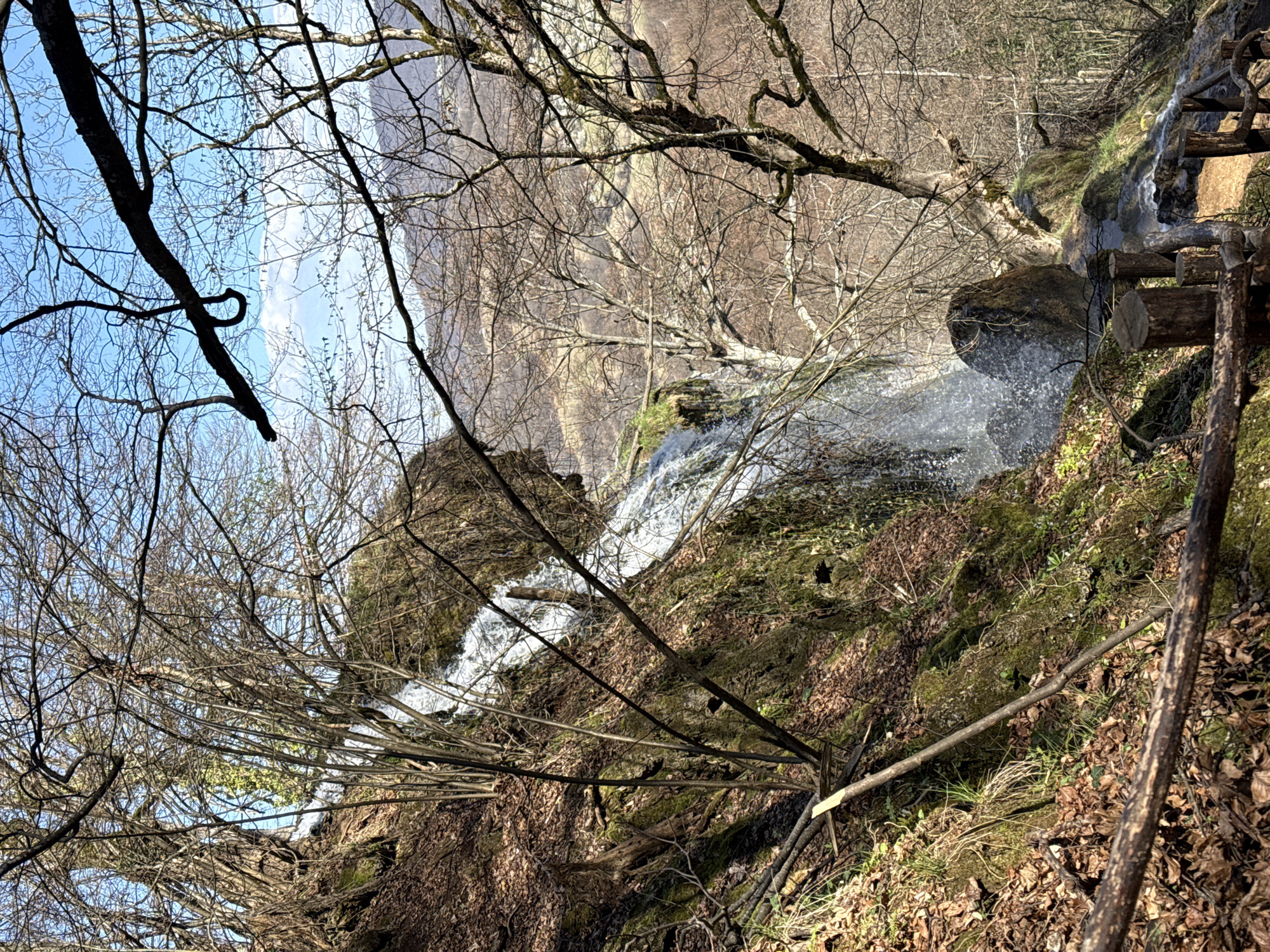 The image depicts a waterfall in a wooded area, possibly in Ribaritsa, Bulgaria. The waterfall cascades over moss-covered rocks and flows downhill amidst bare trees and fallen leaves. A rustic wooden structure, possibly a pathway or small bridge, is visible to the right of the waterfall. The sky is partly visible through the branches.