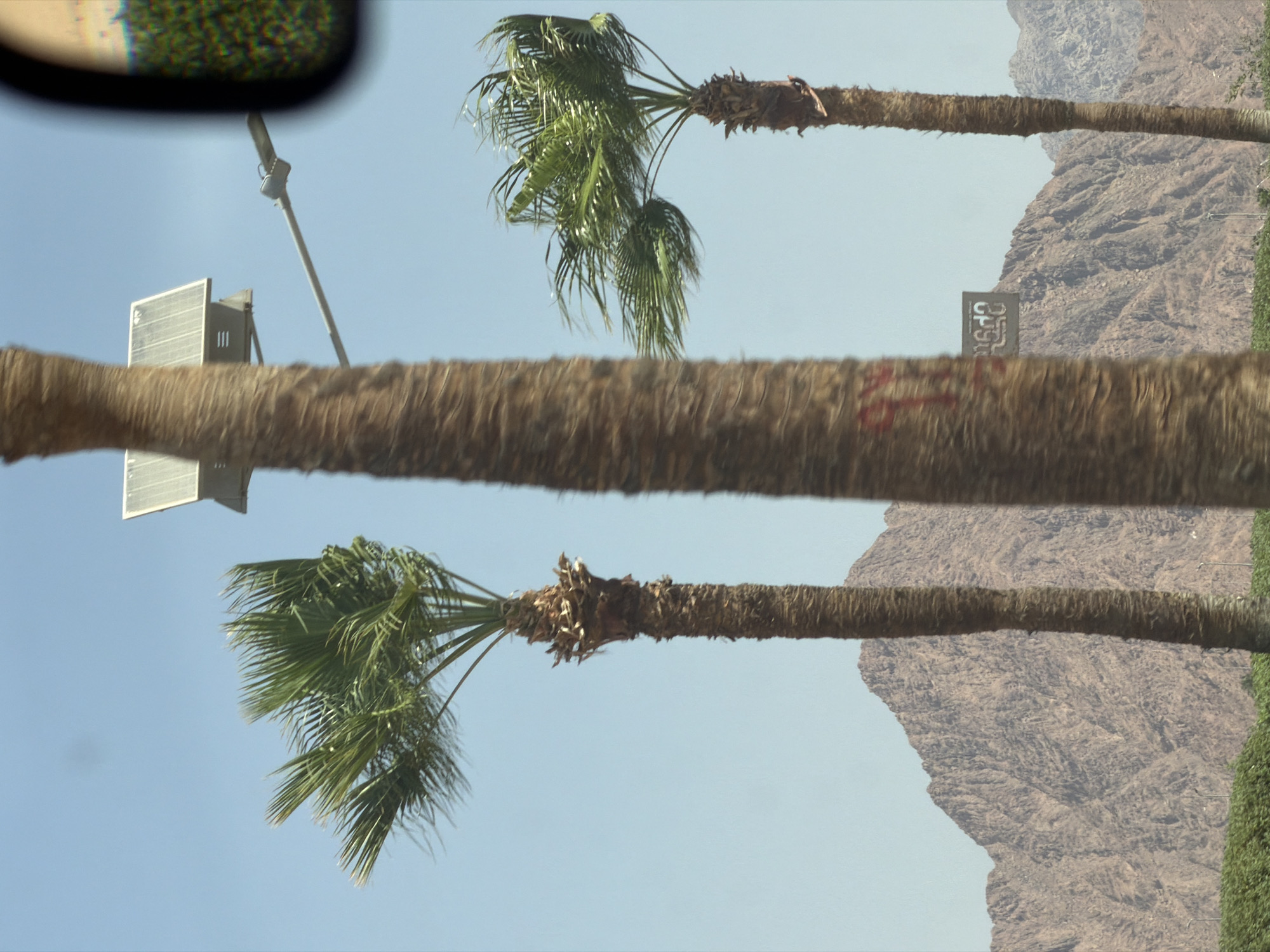 A telephoto shot captures a bright, sunlit outdoor scene dominated by three palm trees of varying heights and degrees of focus against a clear blue sky. The foremost palm tree, positioned in the center and right of the frame, is largely out of focus, appearing as a blurry brown trunk. To its left and slightly further back, a second, in-focus palm tree stands tall, its rough, textured trunk clearly visible, topped with green fronds that are windswept. A third, smaller palm tree, also in focus, is situated to the left, its fronds extending outwards.
Above and between the two taller palm trees, a solar-powered street lamp is visible, with a panel on top. In the background, a range of rugged, dry mountains rises, their textured surfaces suggesting a desert landscape. In the lower foreground, a line of green foliage is present. The scene appears to be in Sharm El Sheikh, Egypt, given the presence of desert mountains and palm trees common to the region, and the style of the solar-powered street lamp, which is typical for the city. The overall impression is one of a warm, arid climate.