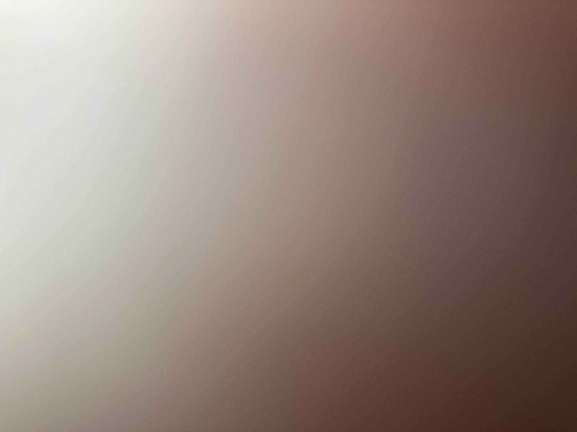 The image is a close-up shot of a gradient background. The left side of the image is a bright, light gray, gradually transitioning to a darker, reddish-brown on the right side. There are no discernible subjects, objects, or activities depicted in the image. The lighting suggests a smooth, diffused light source, possibly indicating an indoor setting or an overcast day. The color gradient creates a subtle visual effect, with no specific narrative or contextual information conveyed. The absence of any identifiable elements makes it impossible to determine the time of day, weather, or location. There is no visible text within the image.