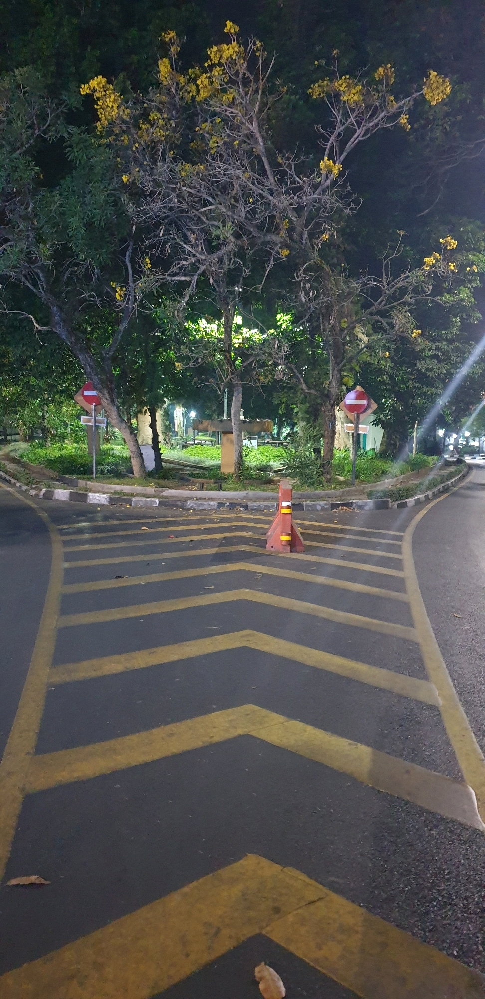 A fork in a road is depicted at night in what appears to be a park setting. The road is paved with asphalt and marked with yellow chevron patterns indicating a divergence. A red and white traffic cone is positioned on the road where the fork occurs. To the left of the road, there is a sidewalk with a curb and a "no entry" sign. Beyond the sidewalk, trees with yellow flowers are visible, interspersed with darker green foliage. In the background, park benches and picnic tables are dimly lit, suggesting a public recreational area. The overall lighting is subdued, with artificial lights illuminating the trees and park features, creating a somewhat surreal atmosphere. The location is identified as being in the city of Bandung, Indonesia.
