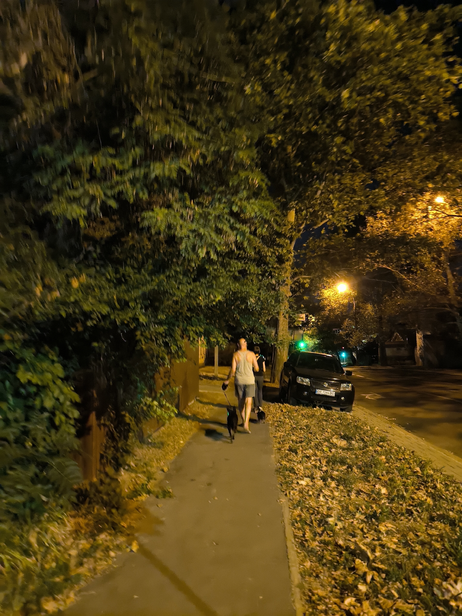The image depicts a nighttime scene on a city street in Mykolaiv, Ukraine. A man in a light-colored tank top and shorts is walking a small, dark dog on a leash along a sidewalk. Behind him, a second person, whose gender is not clearly discernible, walks a second small, dark dog on a leash. The sidewalk is bordered by a grassy area covered with fallen leaves and a line of trees with dense foliage. A dark-colored SUV is parked on the street next to the sidewalk. Streetlights cast a warm, yellow glow over the scene, illuminating the foliage and the street. Traffic lights are visible in the background, indicating an intersection. The overall environment suggests an urban setting at night, possibly in autumn due to the fallen leaves.