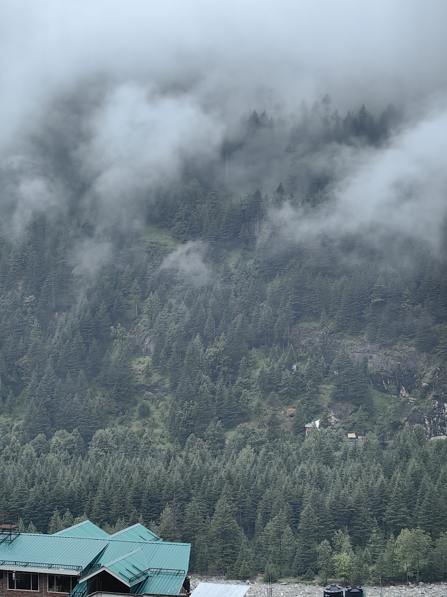 The image depicts a dense, verdant forest covering a mountainside, characteristic of Vashisht, India. The upper portion of the frame is shrouded in thick, atmospheric clouds, creating a moody and slightly obscured view of the landscape. The trees, predominantly coniferous, form a carpet of dark green that stretches across the slopes. A few small structures, likely houses or cabins, are visible nestled within the trees on the mountainside, some with colorful roofs. In the foreground, a portion of a building with a distinctive turquoise metal roof is visible, suggesting a settlement at the base of the mountain. The overall environment appears to be natural and mountainous, with evidence of human habitation integrated into the landscape.