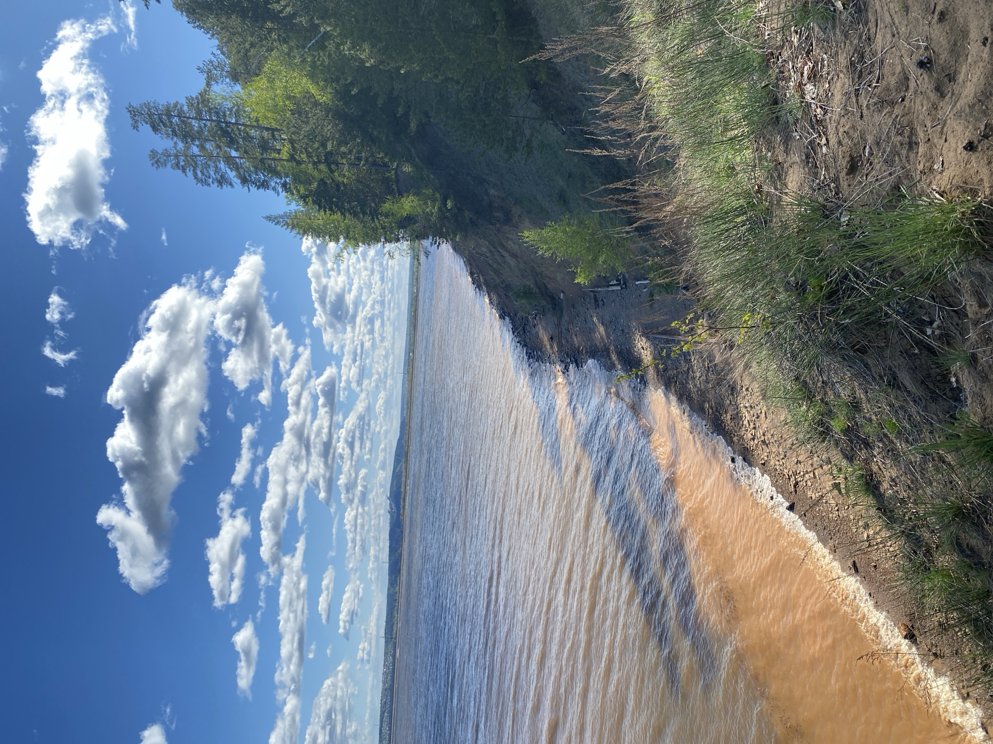The image shows a landscape with a body of water, likely a river or lake, taking up a significant portion of the view. The water is murky, with a brownish-tan color near the shoreline, suggesting sediment or mud. On the right side of the image, there's an embankment or cliff with grass and some trees growing along the edge. On the left, the sky is visible with scattered white clouds against a blue background. The image appears to be taken from a high vantage point. The image does not include people. I cannot confirm the image location is Noviy, Russia.