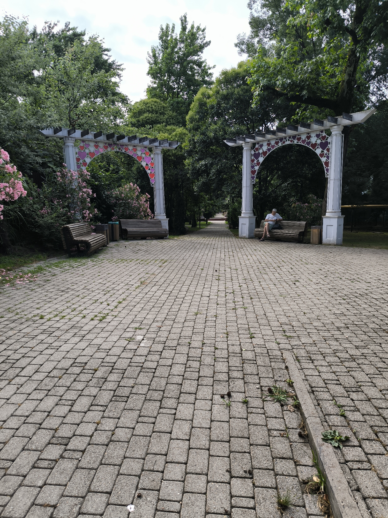 The image depicts a paved walkway in a park, leading towards two decorative white archways adorned with heart motifs. The walkway is made of rectangular grey pavers with some grass growing between them. On either side of the walkway, there are benches and lush green trees and bushes, some of which are in bloom with pink flowers. A person is seated on a bench under the right archway, facing away from the camera. The scene appears to be outdoors on a bright day, with a cloudy sky visible through the trees. It is not possible to determine the location within the city of Sochi, Russia from the image alone.