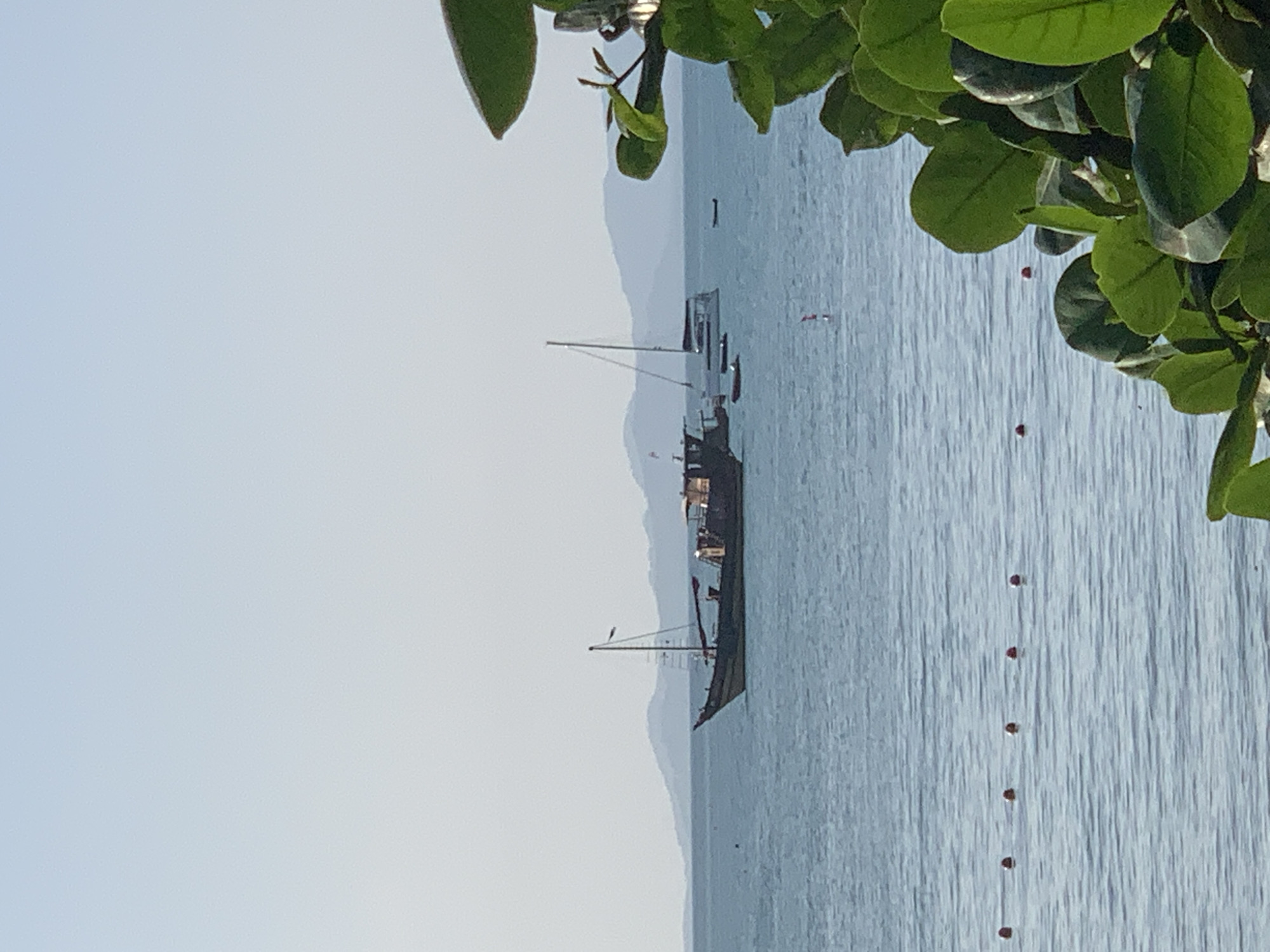 An outdoor, eye-level, vertical, medium shot captures a serene ocean view with several boats on the water. The scene is framed by lush green foliage in the foreground, partially obscuring the view.
In the mid-ground, a traditional wooden boat with a single mast and a covered deck is positioned prominently in the center of the frame. To its right, a white catamaran sailboat with a tall mast is visible. Several smaller boats, including a dinghy, are scattered around the larger vessels. A line of small red buoys stretches across the water in the lower left portion of the image.
In the background, a hazy mountain range forms a gentle curve against a pale blue sky. The water itself is calm, reflecting the sky and the distant land. The overall atmosphere is peaceful and tranquil, suggestive of a calm day in a coastal location. The image appears to be taken from a beachfront or a location adjacent to the water. The lighting suggests it might be late afternoon or early morning due to the soft, diffused light and the haziness in the distance.
The image does not depict any people or specific actions. The focus is on the natural environment and the moored vessels. The location is implied to be in Ko Samui District, Thailand, known for its beautiful beaches and island scenery.