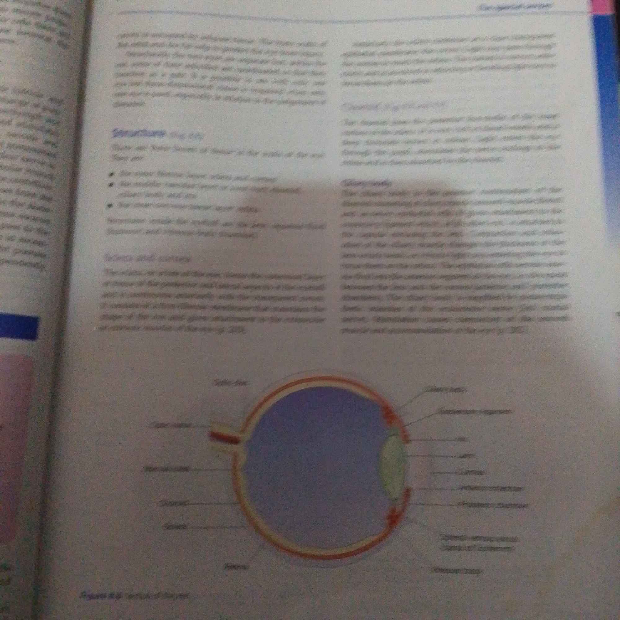 The image provided is a photograph of an open textbook, displaying text and an anatomical diagram of the human eye. The text discusses the structure of the eye, including its layers and internal components. The diagram, located at the bottom of the page, illustrates a cross-section of the eye with various parts labeled. There is no information within the image that pertains to the city of Jalingo, Nigeria, nor any indication of a specific scene or event occurring there.