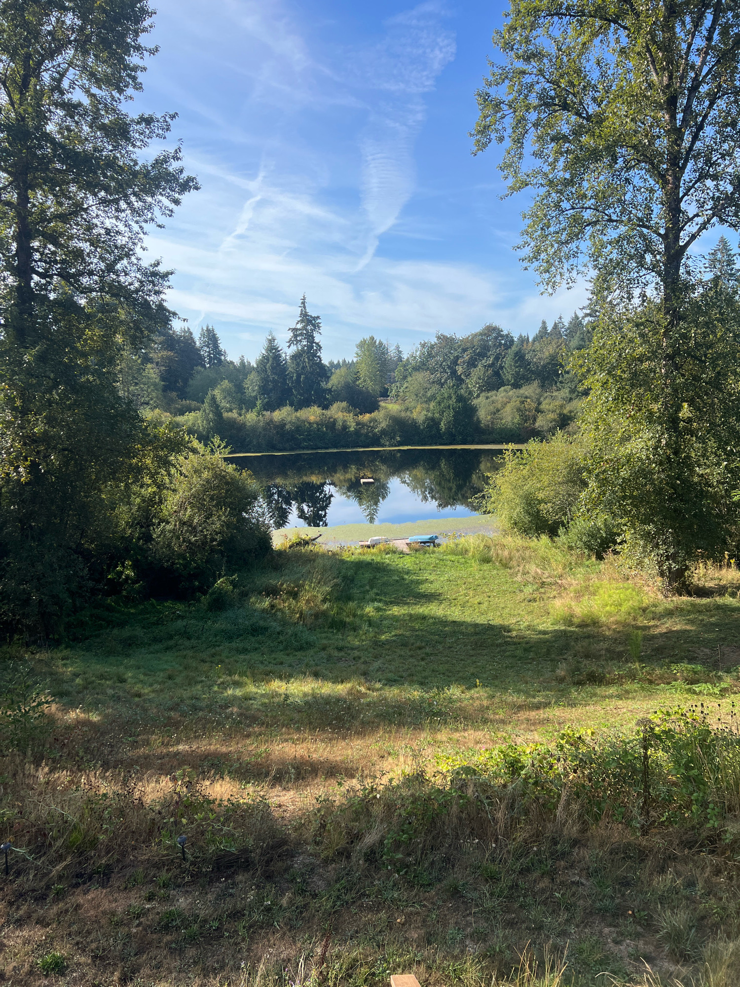 This is a full-shot, eye-level, outdoor photograph of a tranquil natural scene on a sunny day, likely in Kent, Washington, United States of America. The foreground is a sun-dappled grassy slope leading down to a calm body of water, possibly a pond or small lake. Tall, mature trees with lush green foliage frame the scene on both sides, with their reflections visible in the water. A dense line of trees and shrubs surrounds the far bank of the water. The sky is a clear blue with scattered wispy white clouds, suggesting a pleasant day. A small dock with two blue kayaks and some debris is visible on the water's edge in the middle ground.