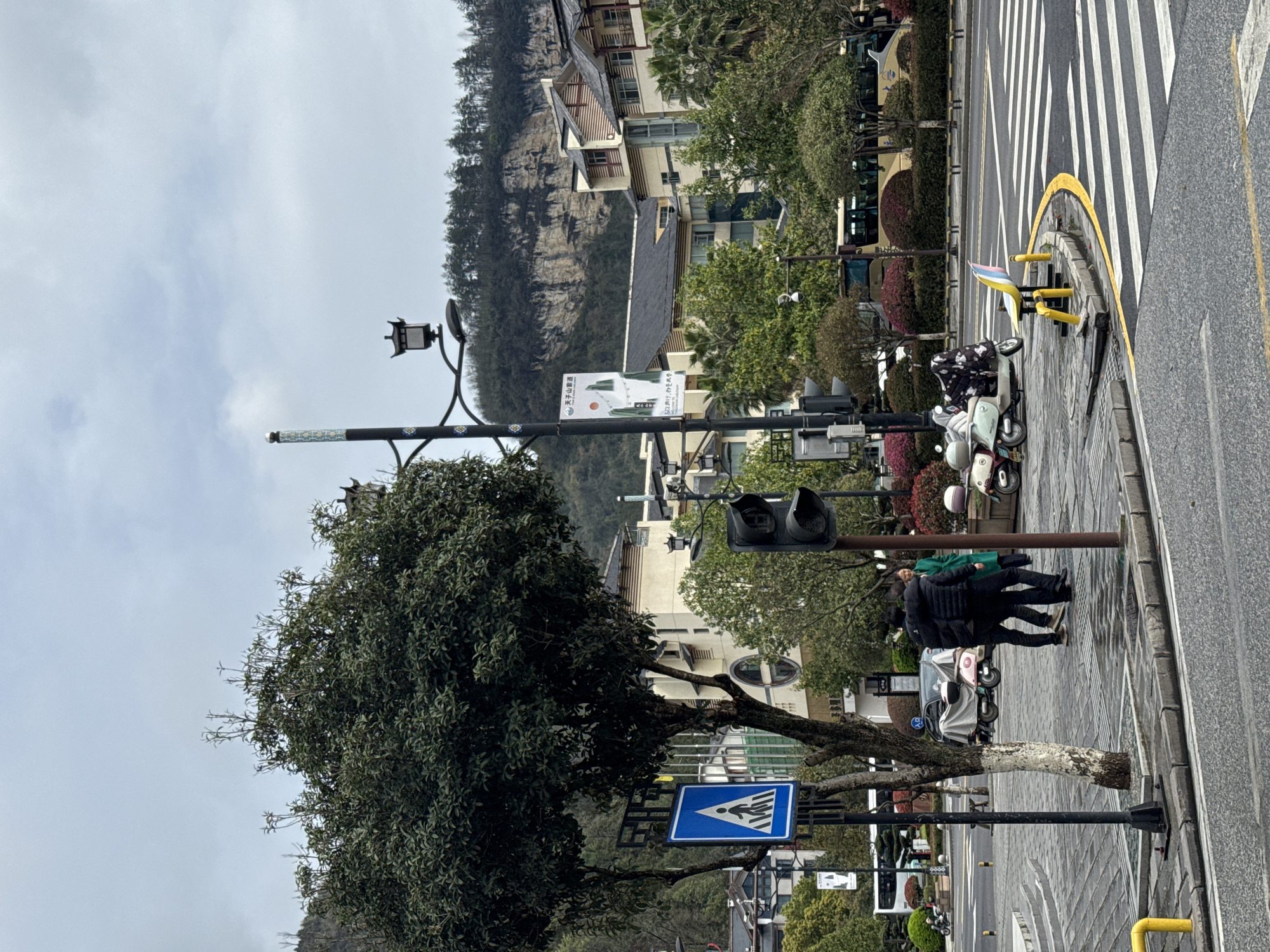 An outdoor scene in the city of Wulingyuan, China, captures an urban intersection against a mountainous backdrop under an overcast sky. The foreground features a wet, paved sidewalk and road. On the left, a large, dense-leaved tree stands, with a blue square pedestrian crossing sign (white walking figure and stripes) attached to a pole behind its trunk. To the right, a dark traffic light pole supports a traffic signal with dark lenses.
Three individuals are visible on the sidewalk. Two are standing or walking closely together, both dressed in dark jackets and pants, with one individual's arm around the other's shoulder. A third individual, wearing a green coat, stands a short distance behind them, facing their direction. Several scooters/mopeds are parked on the sidewalk behind these individuals; one light pink scooter is partially draped with a light-colored cover, while a light green scooter and another patterned scooter are also present. The curb edge is marked with a yellow painted line, and yellow bollards secure a multi-colored (yellow, pink, blue) chair attached to the pavement. A white-striped pedestrian crosswalk extends across the asphalt road.
In the midground, modern buildings with traditional Chinese architectural elements, including dark tiled roofs and decorative eaves, are visible. Lush green trees and manicured bushes are interspersed between the buildings and along the streets. A large yellow bus with blue details is partially visible in the distance. A tall, decorative street lamp post with ornate fixtures and a white banner displaying Chinese text and an image hangs in the center-left. The background is dominated by imposing, forested mountains and steep, rugged rock cliffs.