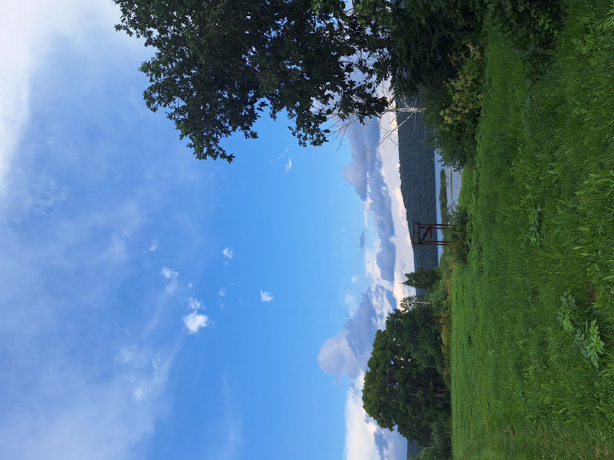 This is a landscape photograph taken in Atamanovka, Russia, under a partly cloudy blue sky. The foreground is dominated by a vast expanse of lush green grass. In the middle ground, several trees are visible, with a prominent large, leafy tree on the left and another dark green tree on the right, partially obscuring the view. Between the trees, a wooden structure, possibly a tower or observation post, stands near the water. The background features a body of water, likely a lake or river, bordered by a densely forested hill that recedes into the distance. The overall scene depicts a natural, serene environment.